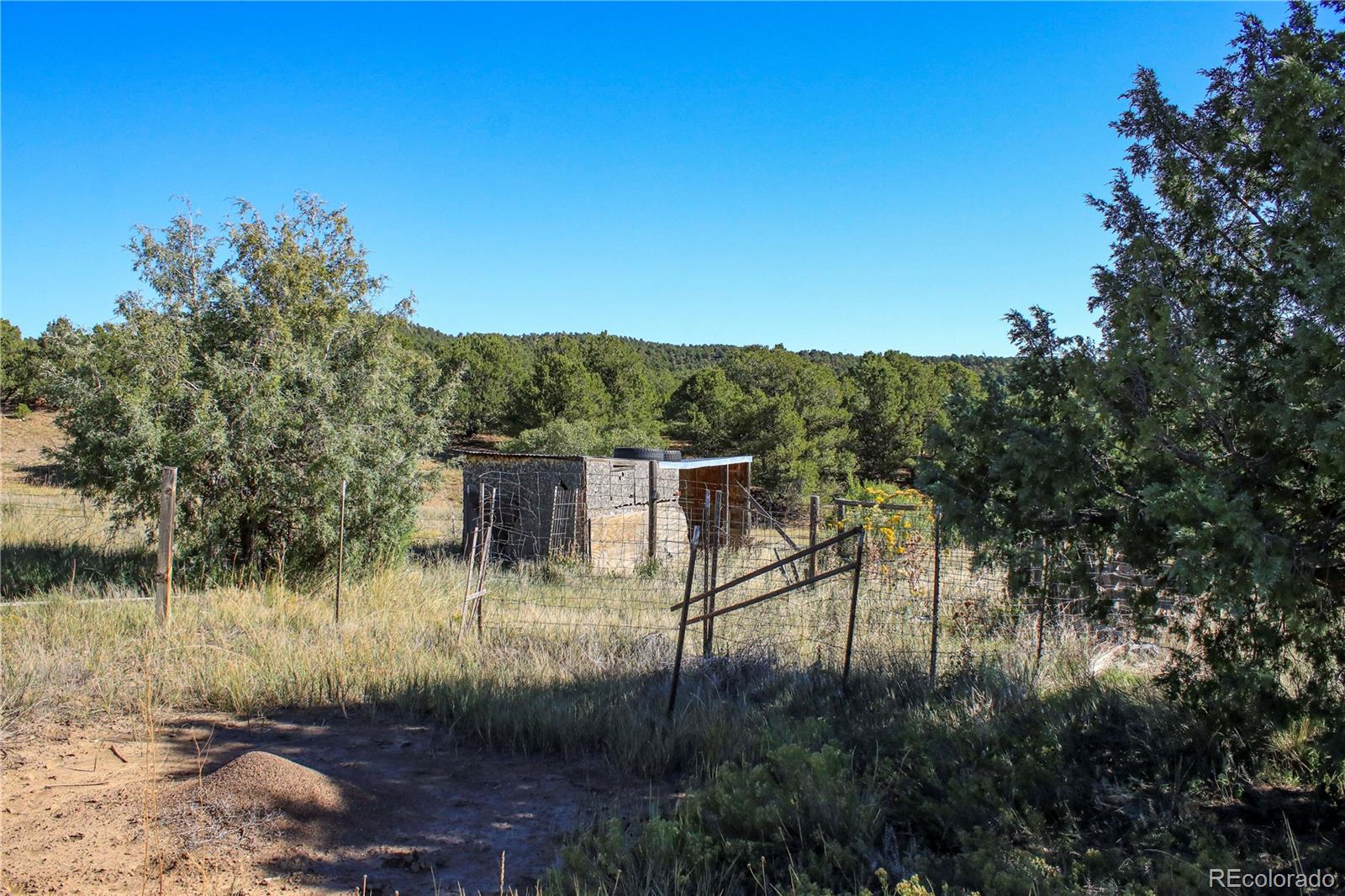 MLS Image #21 for 22300  stock canyon lane,trinidad, Colorado