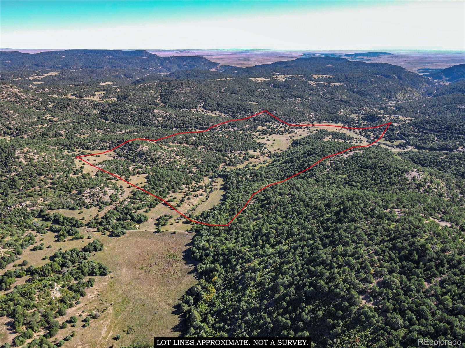 MLS Image #4 for 22300  stock canyon lane,trinidad, Colorado