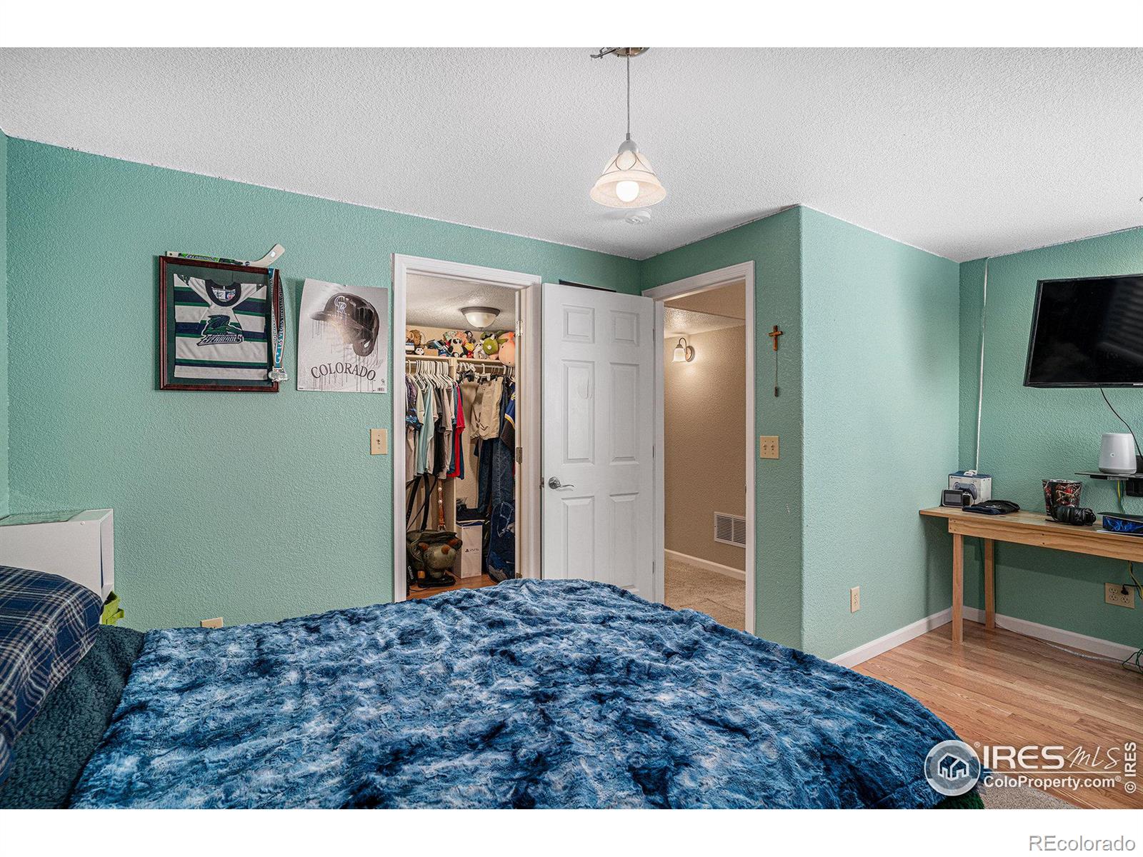MLS Image #24 for 3382  keenland way,wellington, Colorado