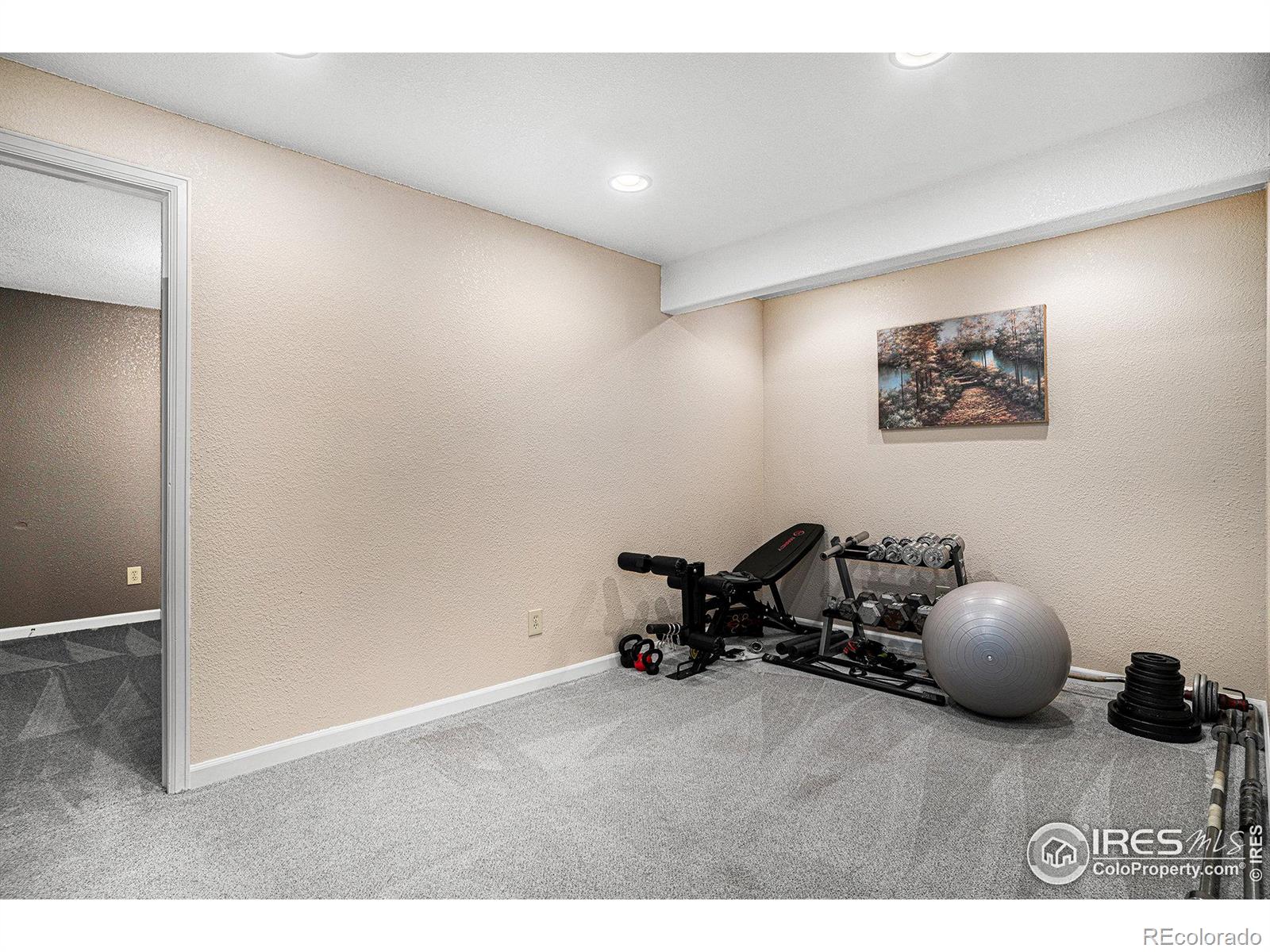 MLS Image #25 for 3382  keenland way,wellington, Colorado