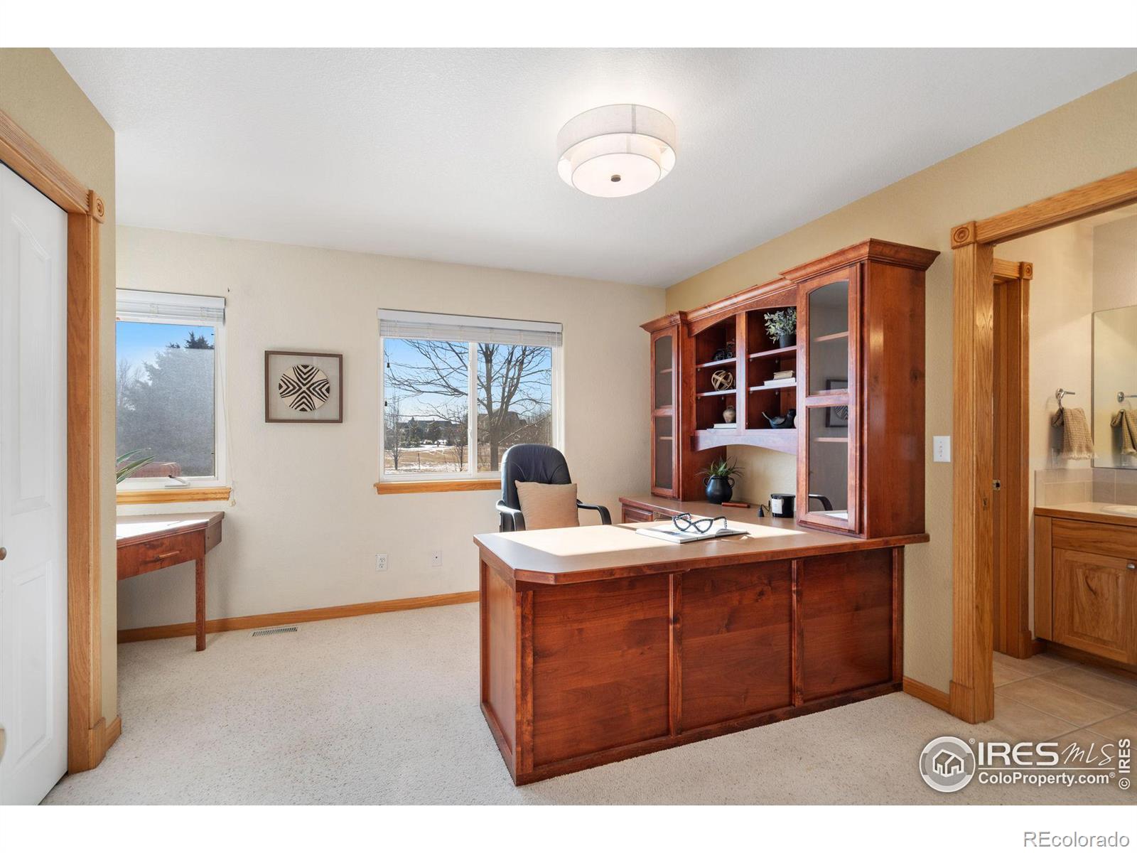 MLS Image #24 for 4880  single tree drive,loveland, Colorado