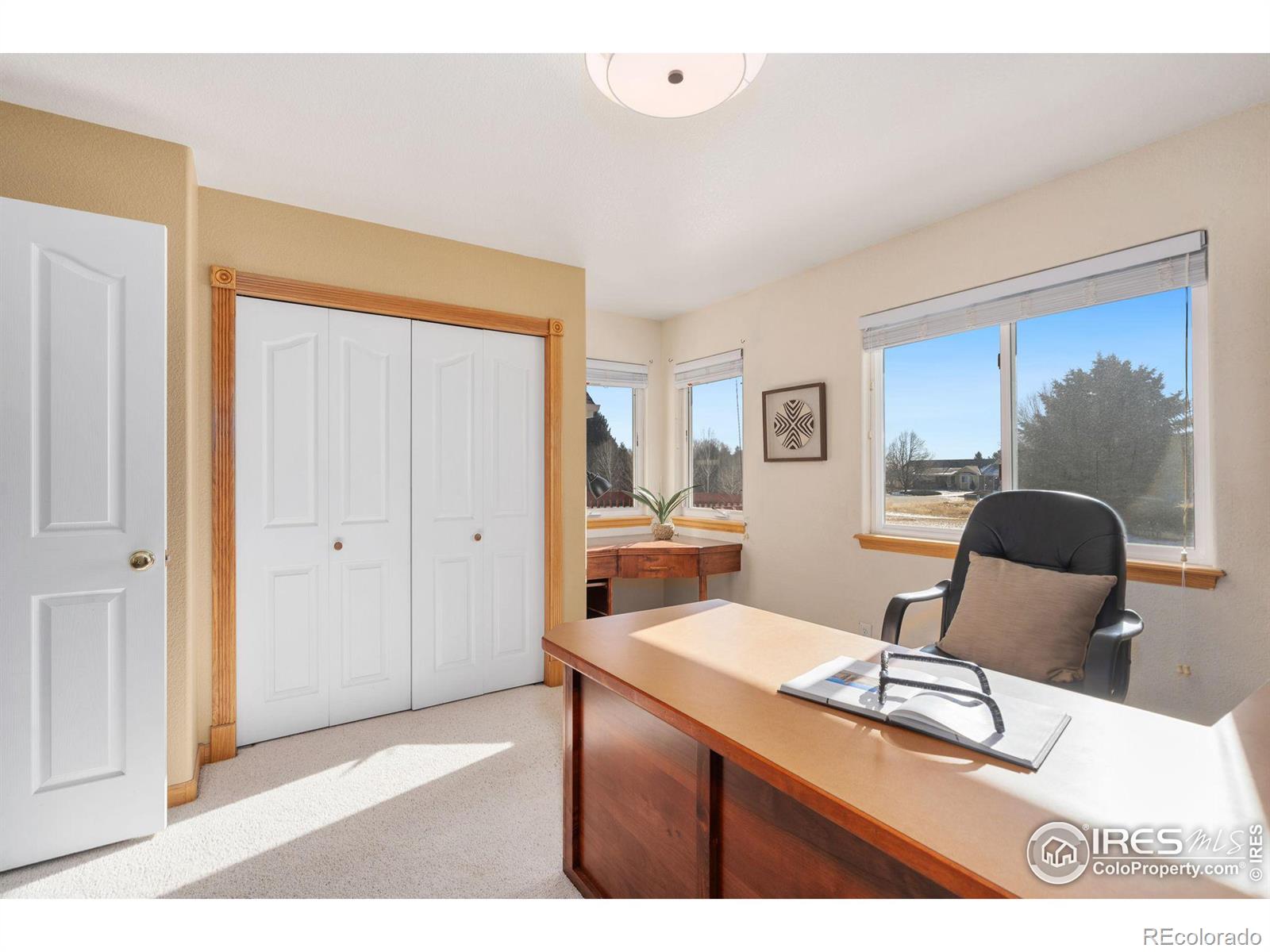 MLS Image #25 for 4880  single tree drive,loveland, Colorado