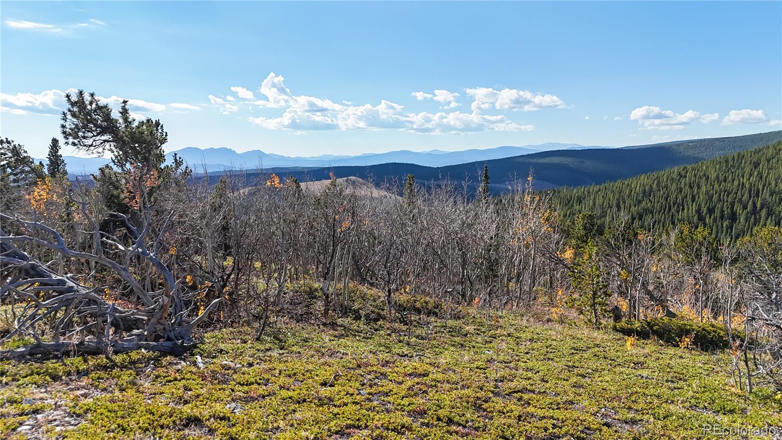 MLS Image #25 for 43391  peak to peak highway,ward, Colorado