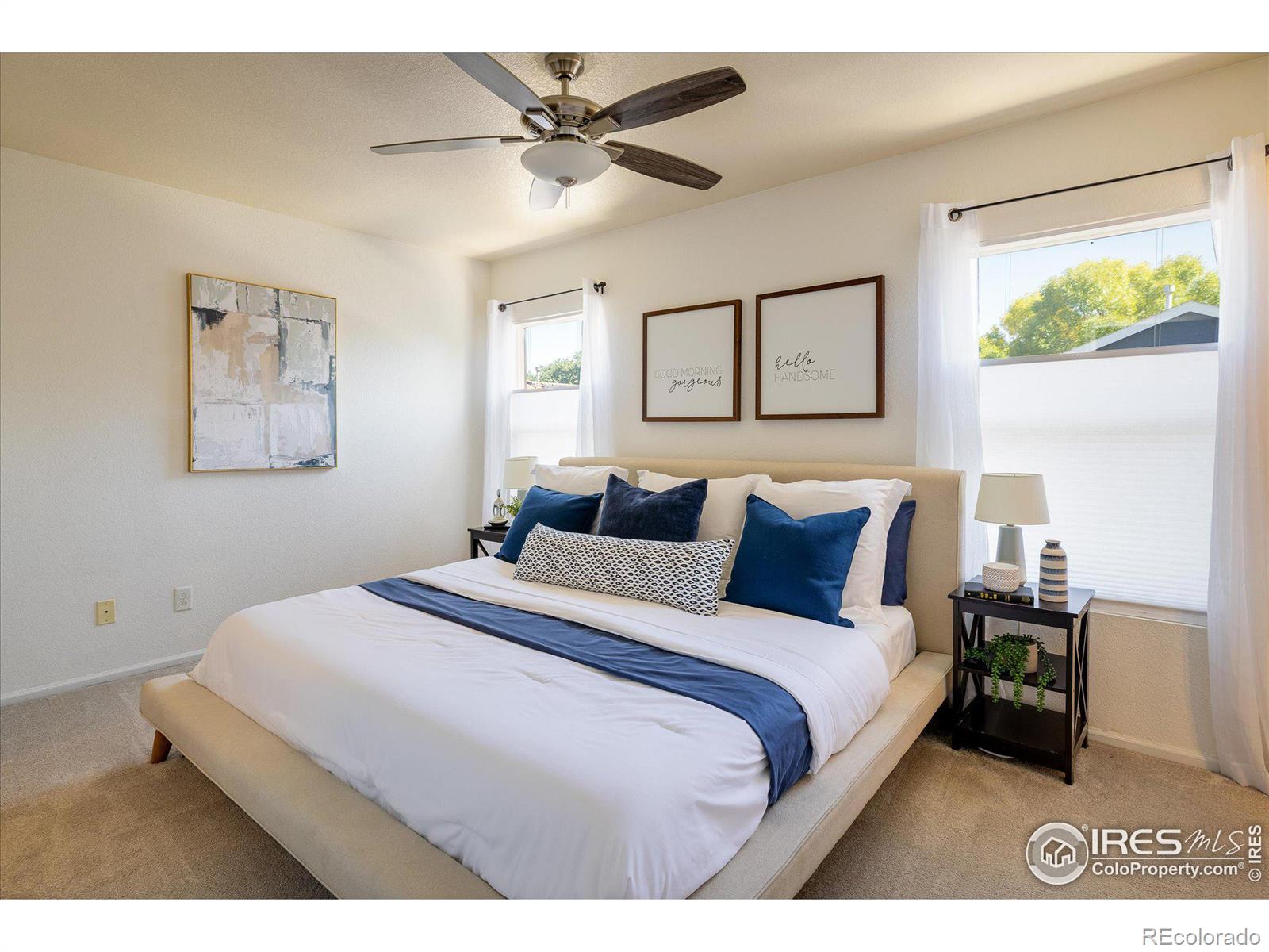 MLS Image #11 for 3674  dexter street,denver, Colorado