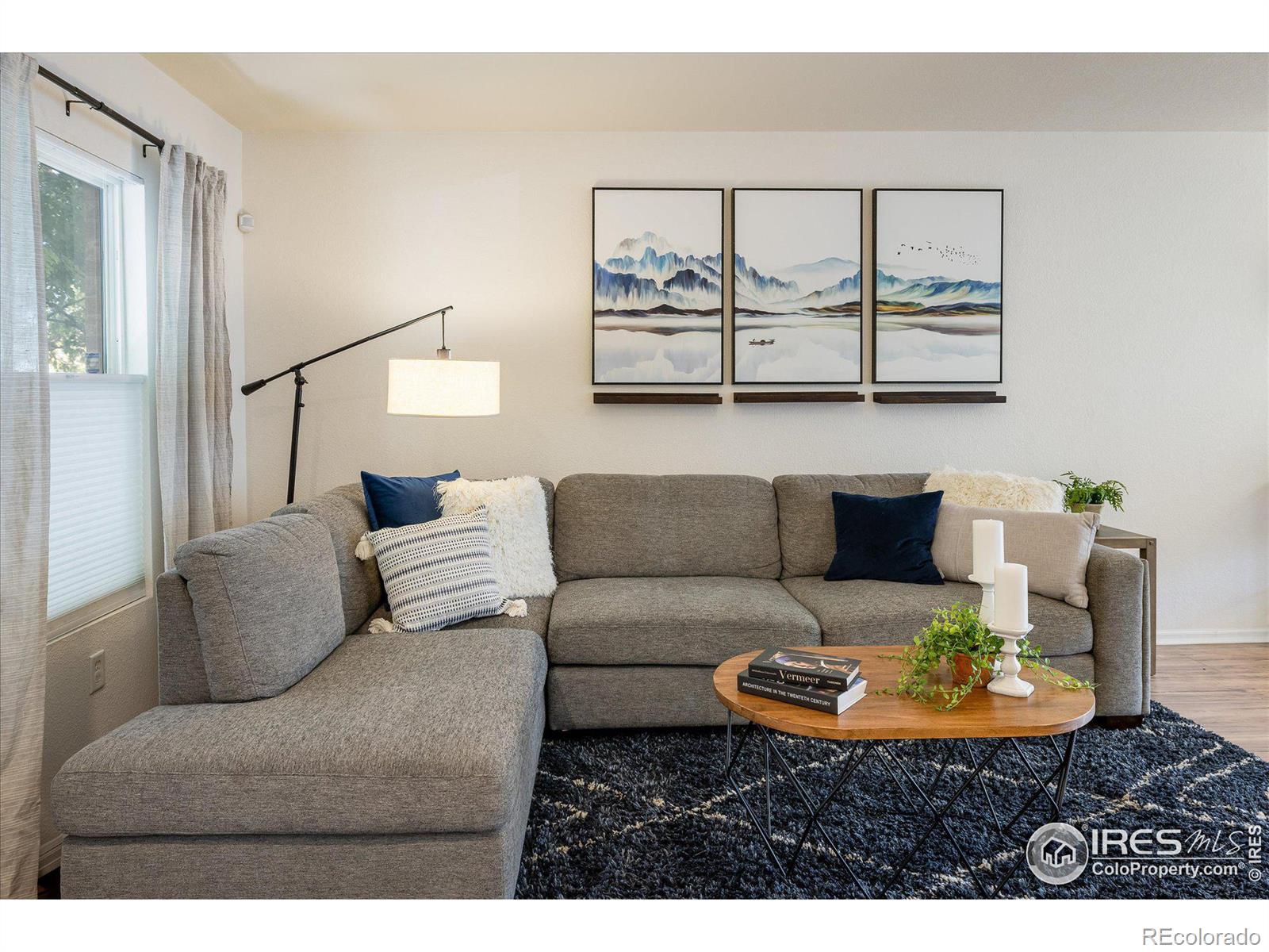 MLS Image #4 for 3674  dexter street,denver, Colorado