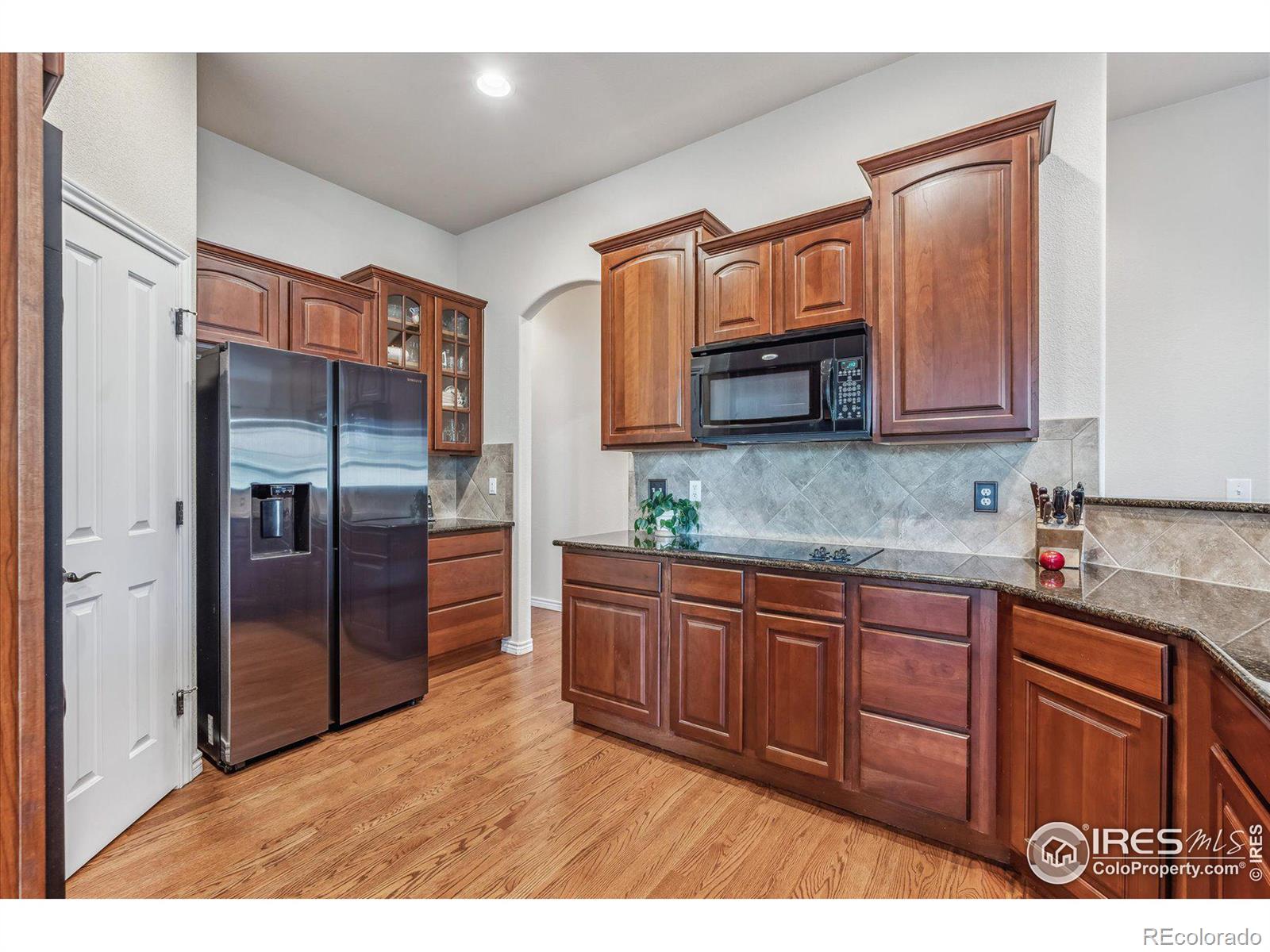 MLS Image #5 for 1003  petras street,erie, Colorado