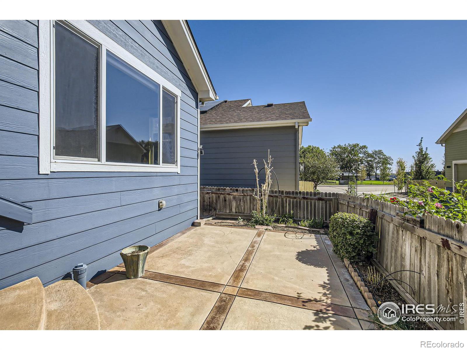 MLS Image #22 for 607  summer hawk drive,longmont, Colorado