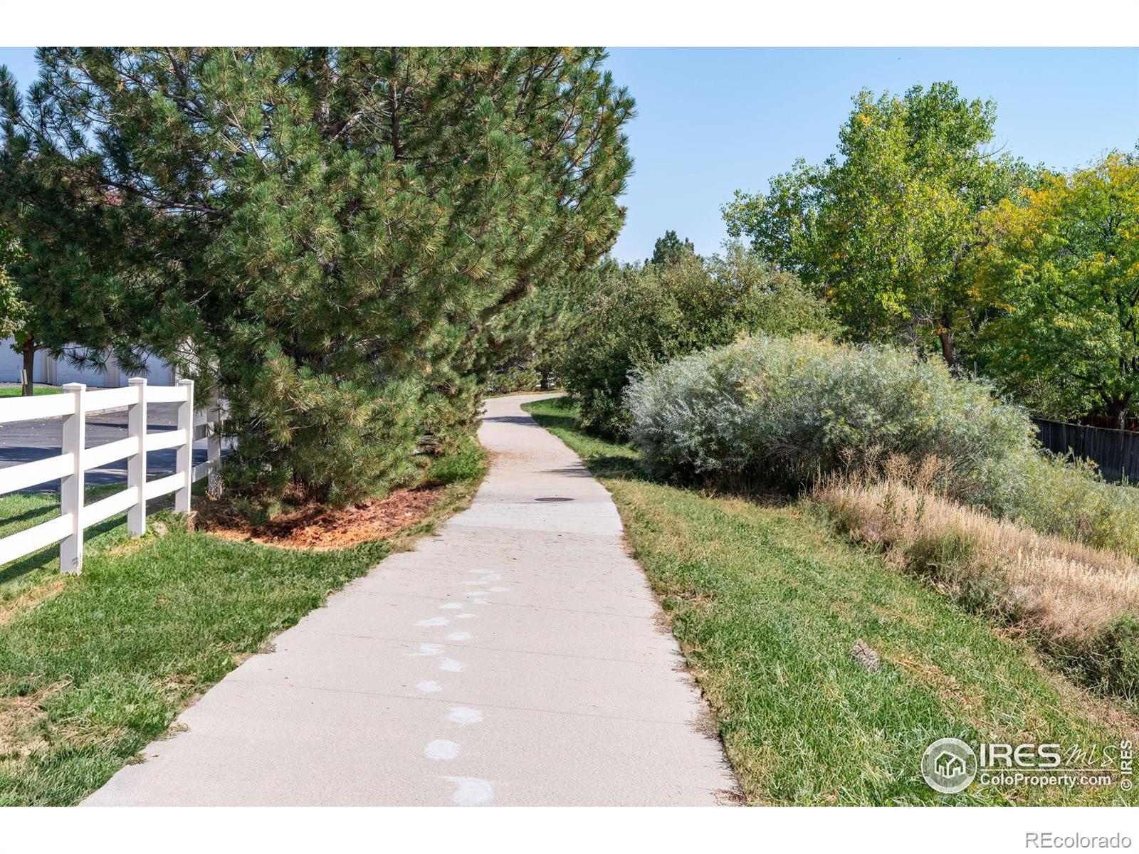 MLS Image #22 for 1090  opal street,broomfield, Colorado