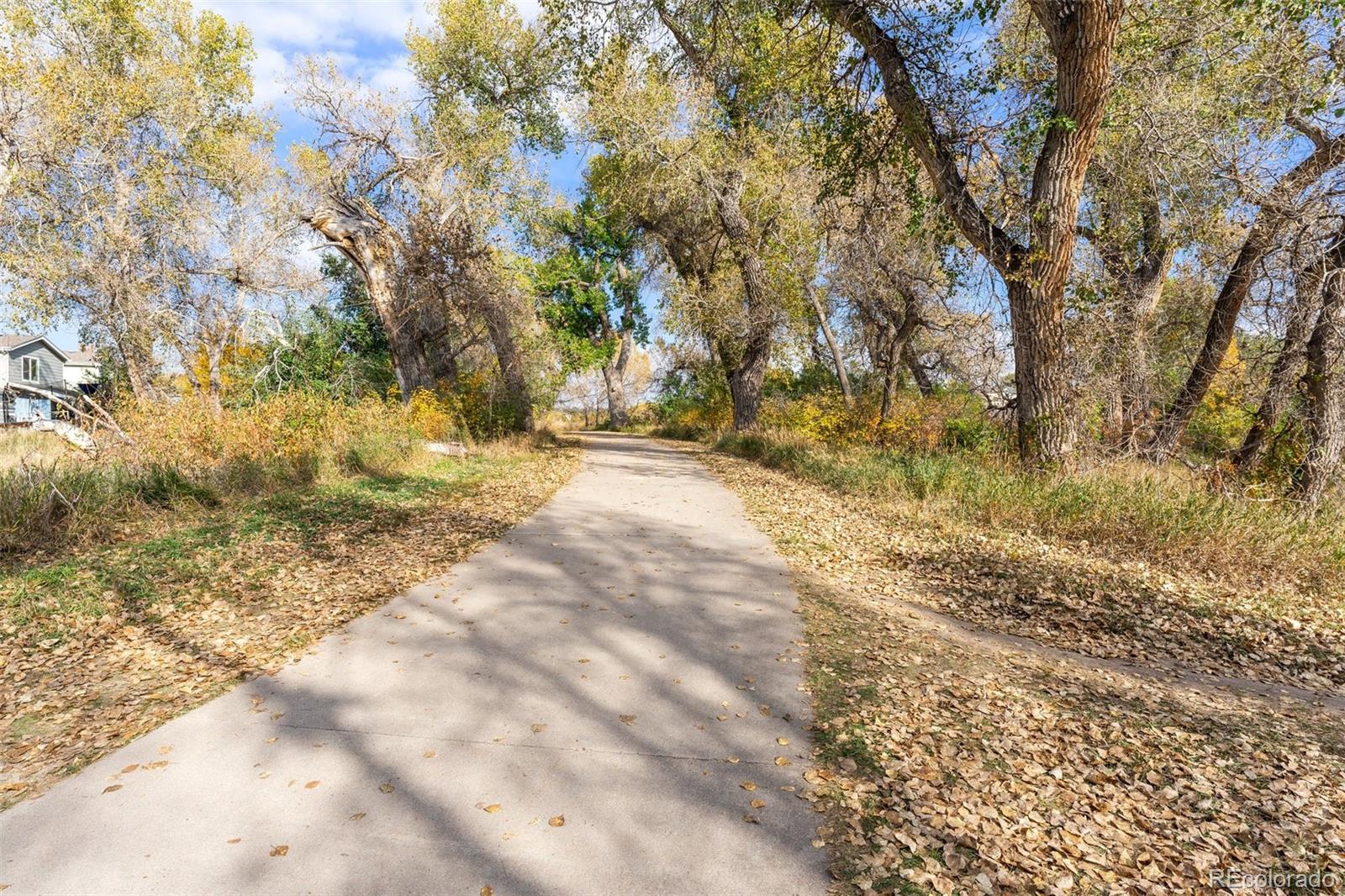 MLS Image #29 for 21788  silver meadow lane,parker, Colorado