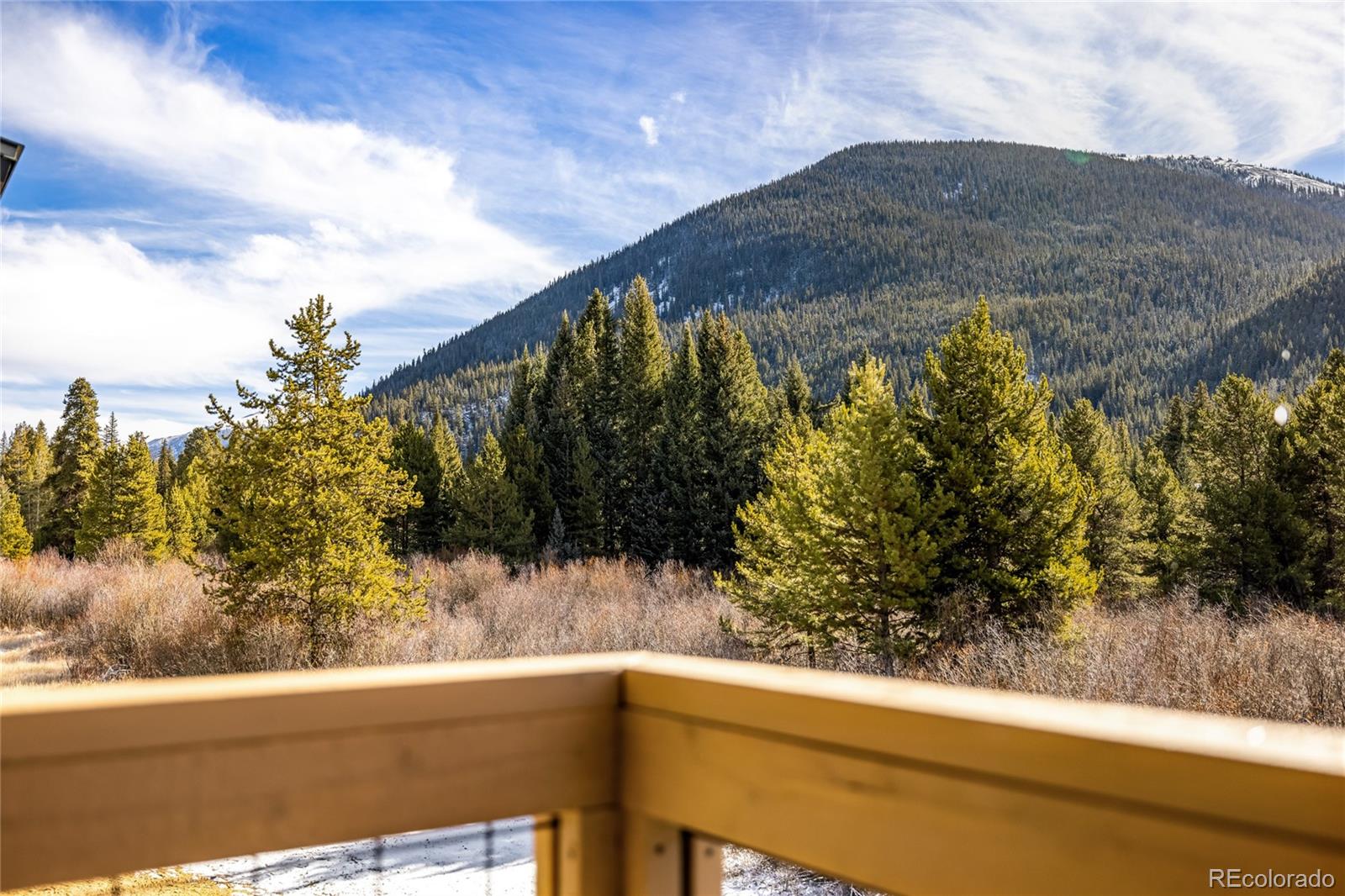 MLS Image #19 for 624  montezuma road,keystone, Colorado