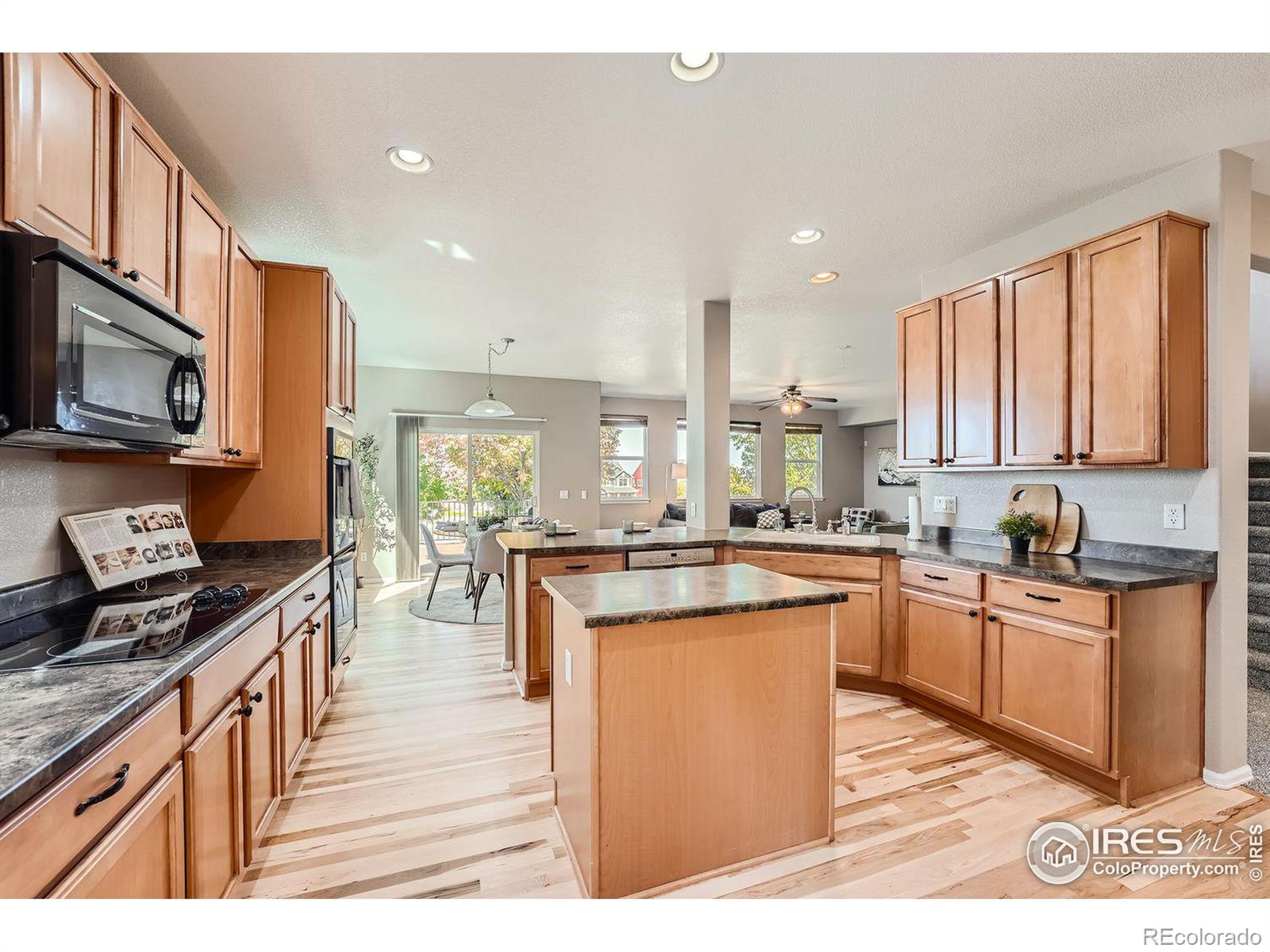 MLS Image #2 for 3683  golden spur loop,castle rock, Colorado