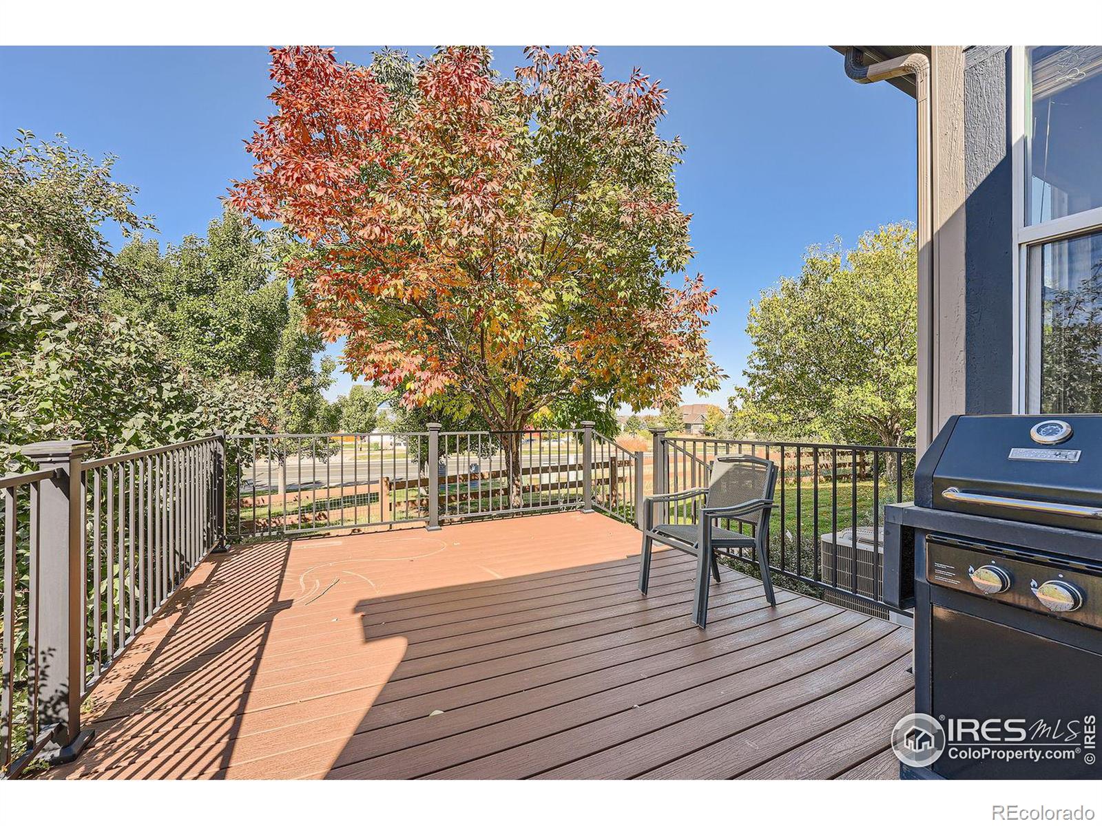 MLS Image #28 for 3683  golden spur loop,castle rock, Colorado