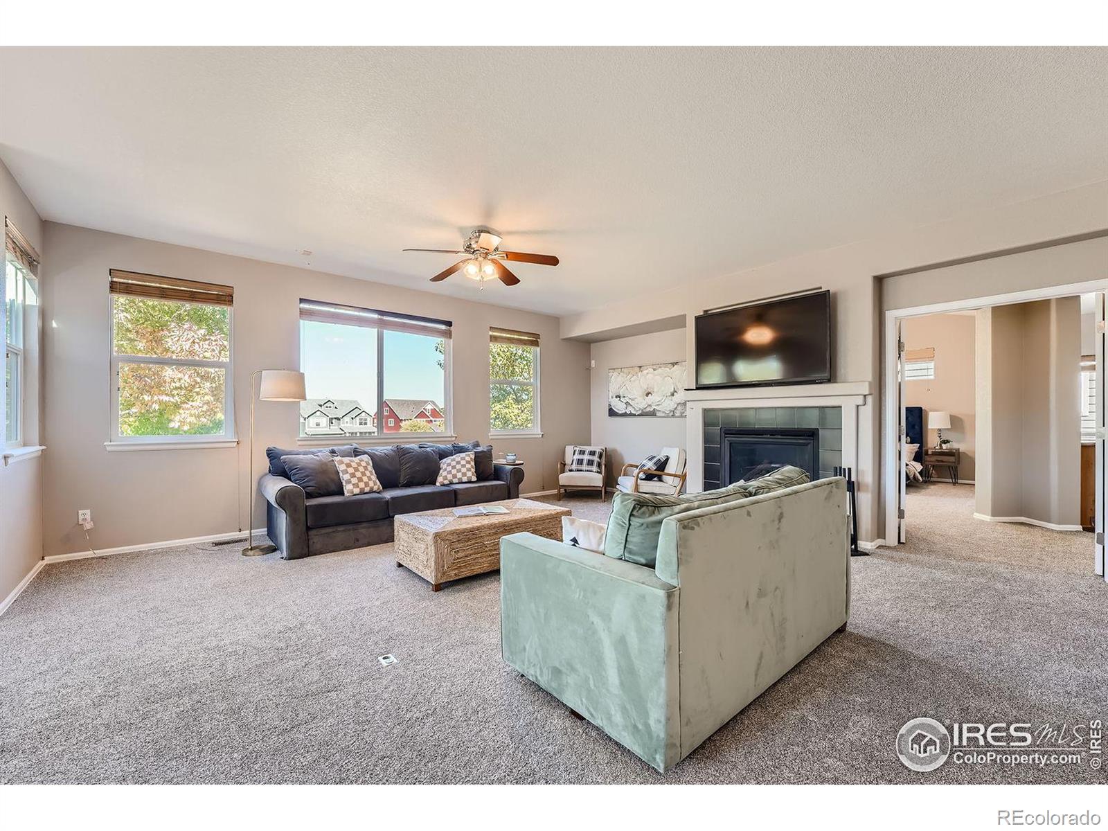 MLS Image #5 for 3683  golden spur loop,castle rock, Colorado