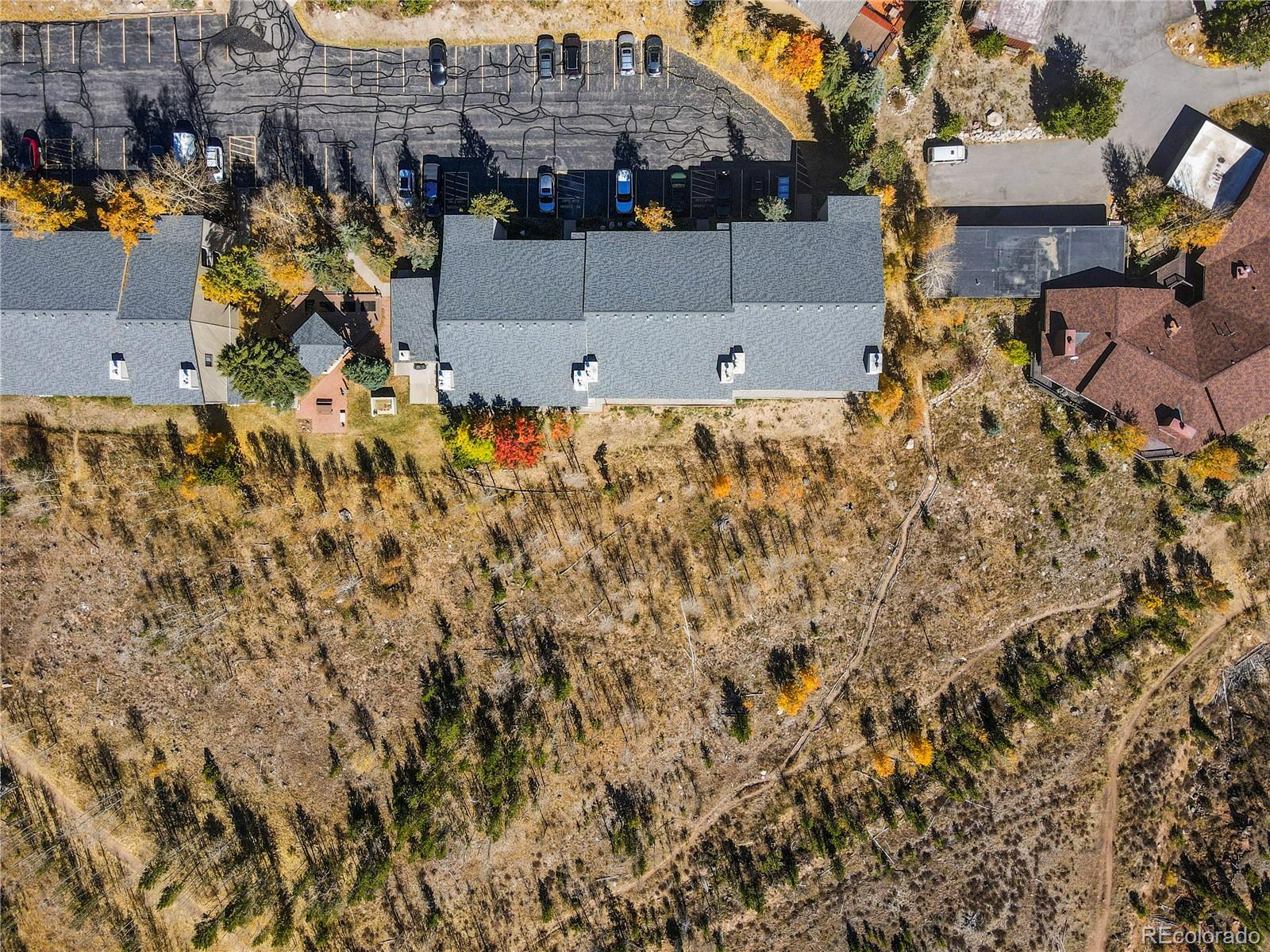 MLS Image #24 for 4615  ryan gulch road,silverthorne, Colorado