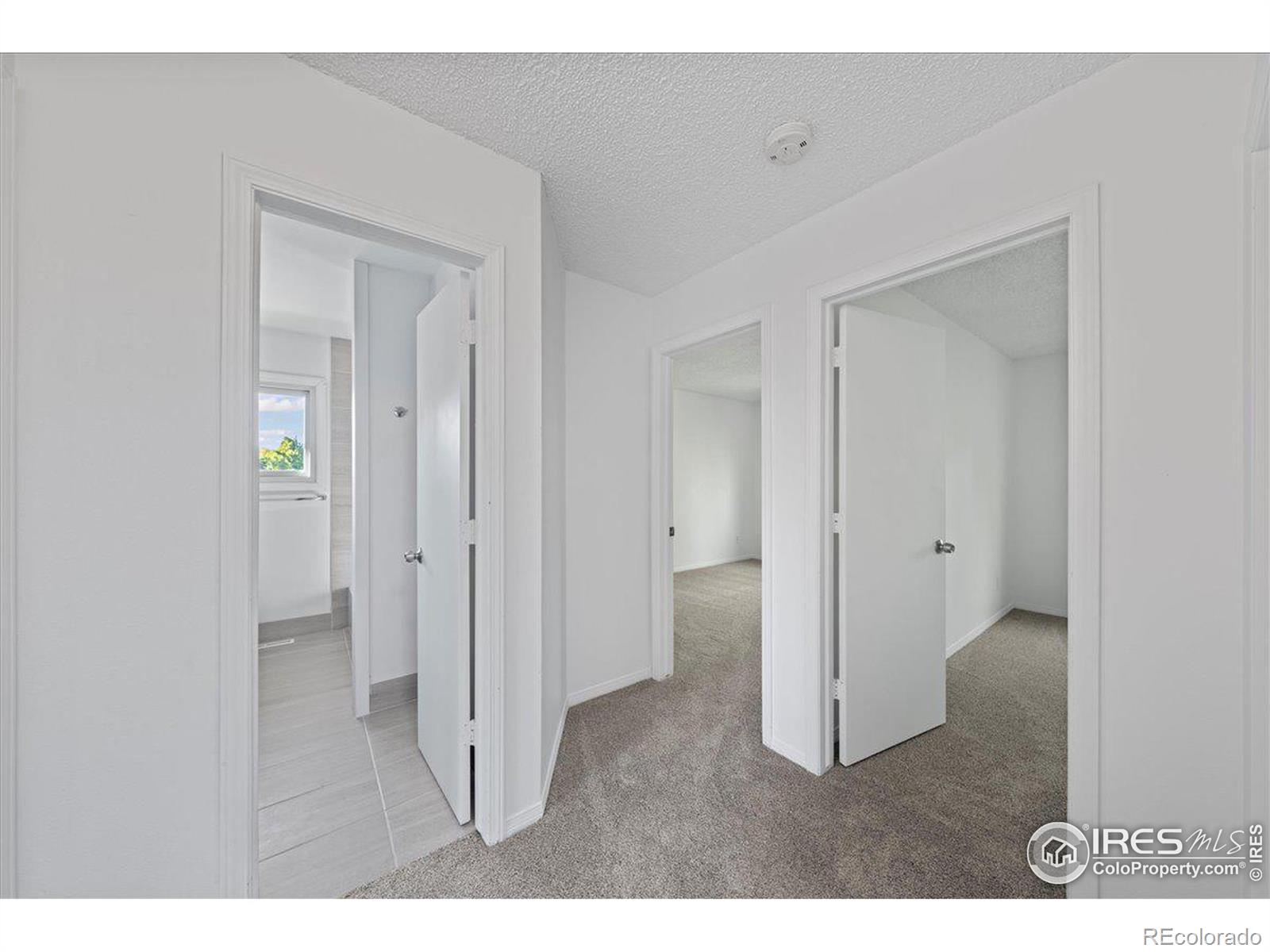 MLS Image #18 for 705  elliott street,longmont, Colorado
