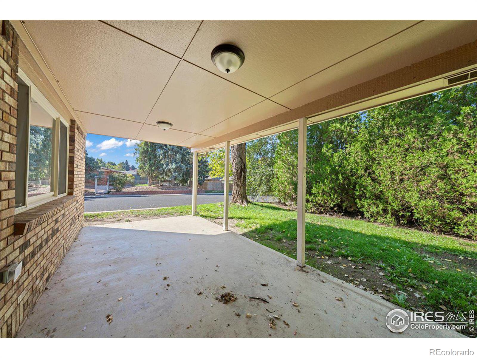 MLS Image #4 for 705  elliott street,longmont, Colorado