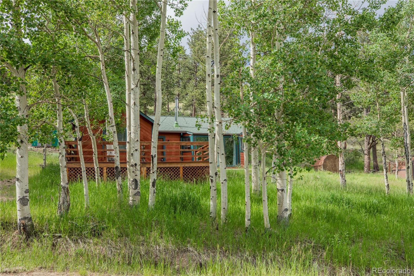 MLS Image #16 for 575 n pine drive,bailey, Colorado