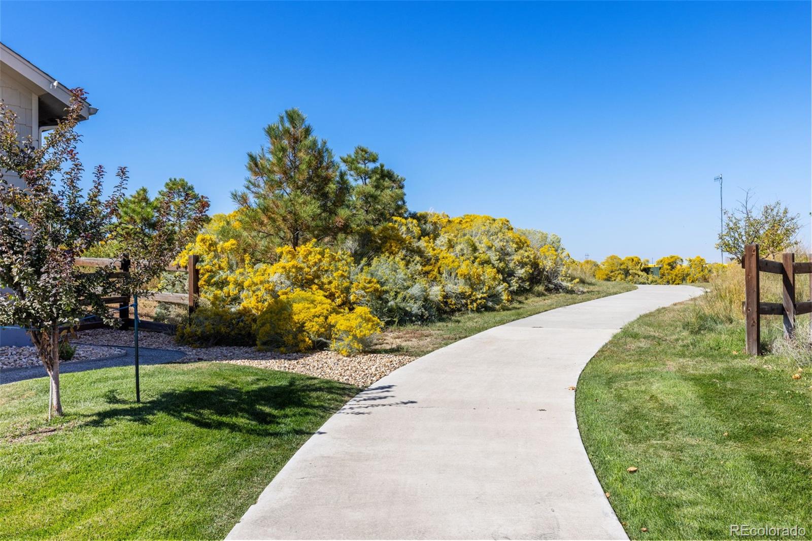 MLS Image #29 for 12973  crane river drive,longmont, Colorado