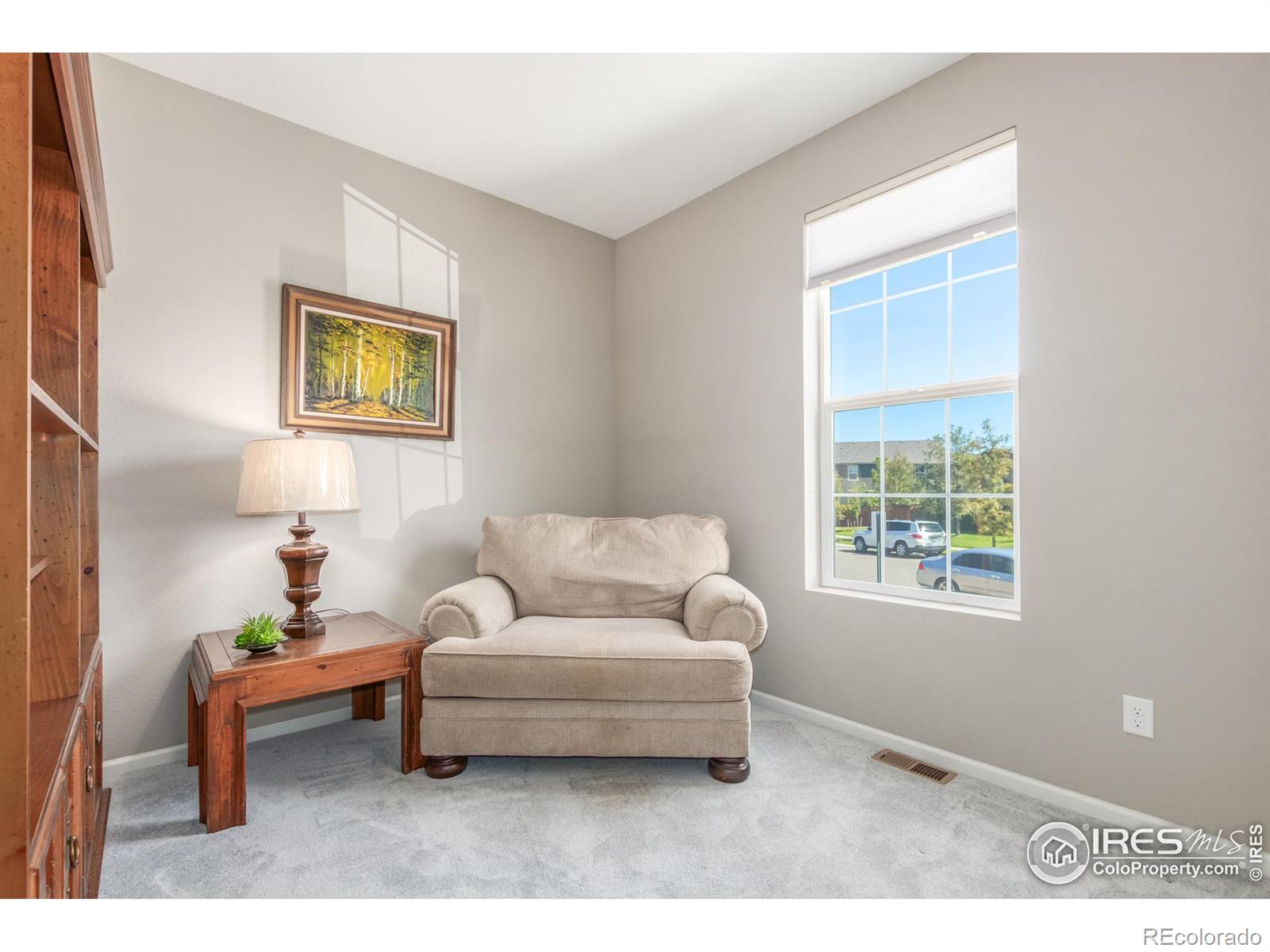 MLS Image #23 for 3307  hawthorne lane,dacono, Colorado