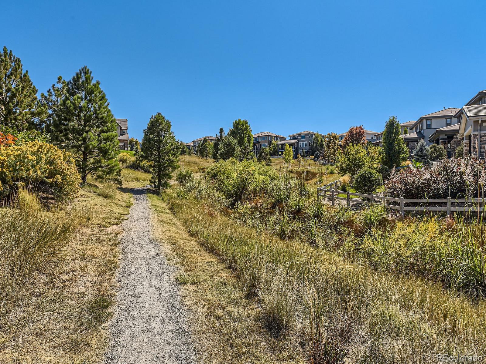 MLS Image #38 for 10710  manor stone drive,highlands ranch, Colorado