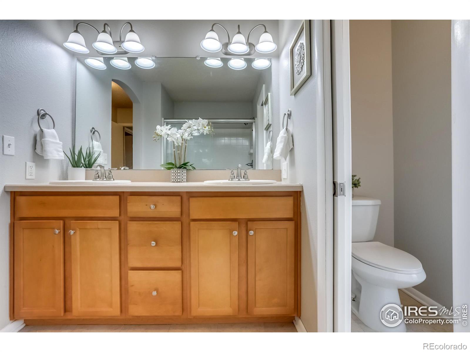 MLS Image #21 for 23  walter way,broomfield, Colorado