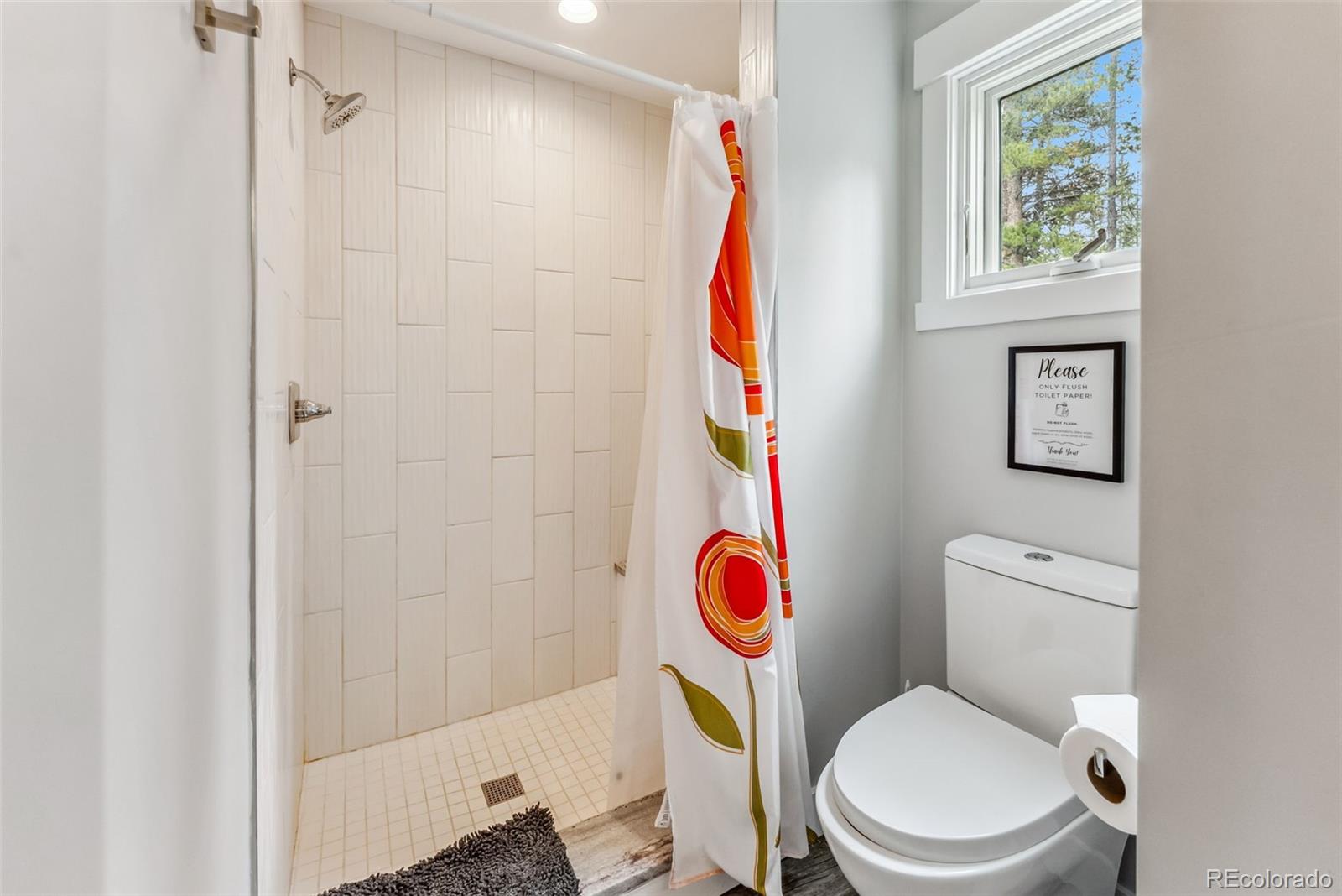 MLS Image #19 for 192  tomahawk lane,breckenridge, Colorado