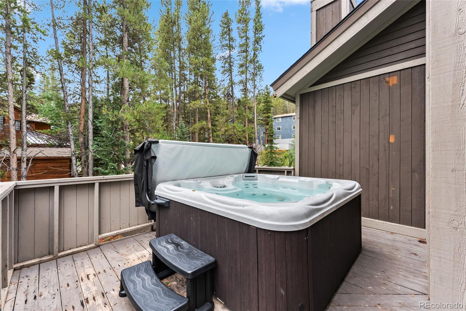 MLS Image #27 for 192  tomahawk lane,breckenridge, Colorado