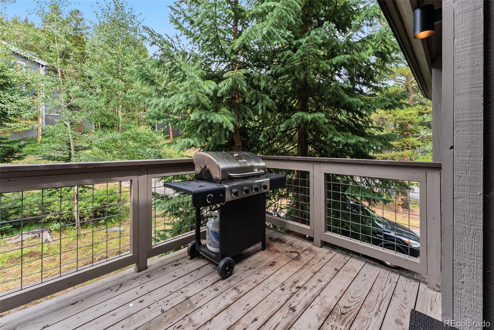 MLS Image #29 for 192  tomahawk lane,breckenridge, Colorado
