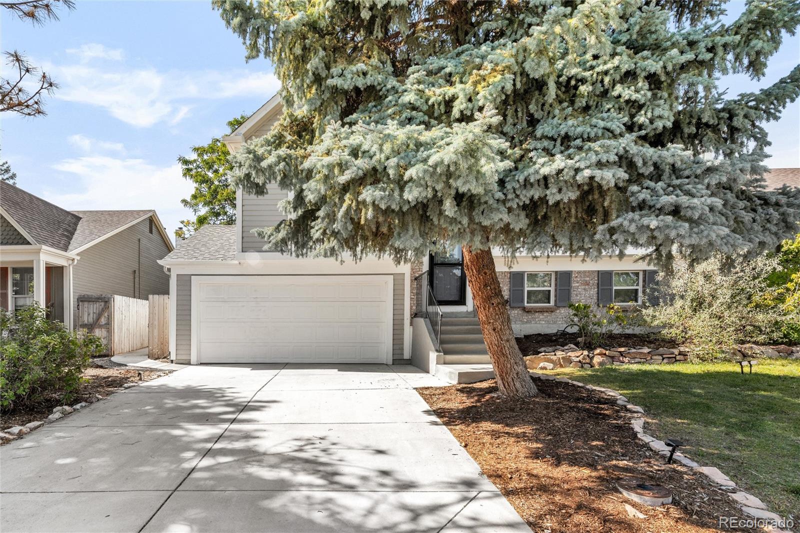 MLS Image #2 for 10273  robb street,westminster, Colorado