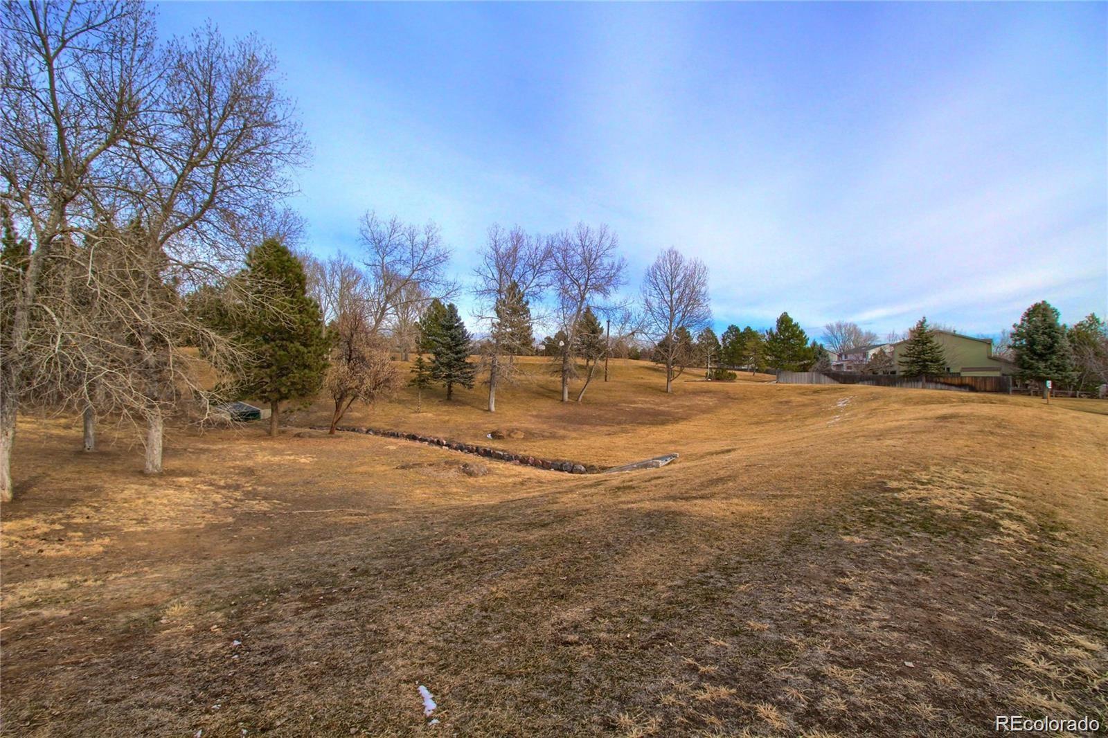 MLS Image #17 for 16994 e crestline avenue,centennial, Colorado