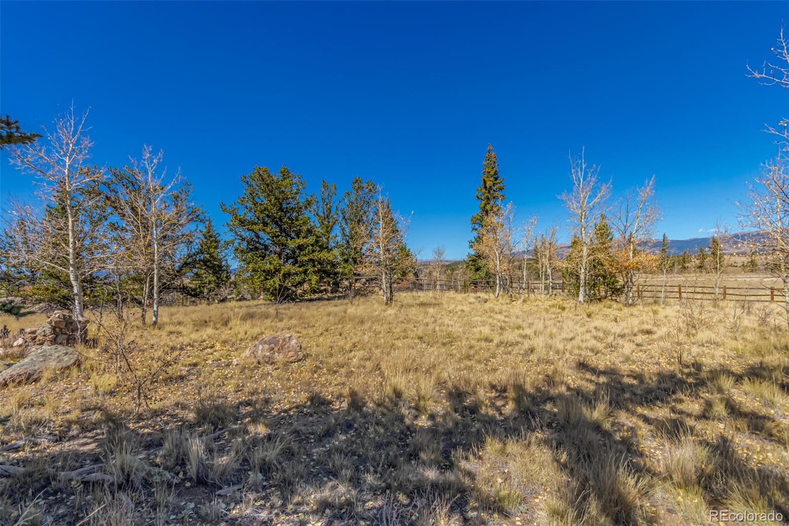 MLS Image #11 for 902  cumberland drive,jefferson, Colorado