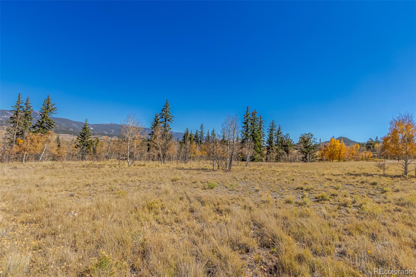 MLS Image #13 for 902  cumberland drive,jefferson, Colorado