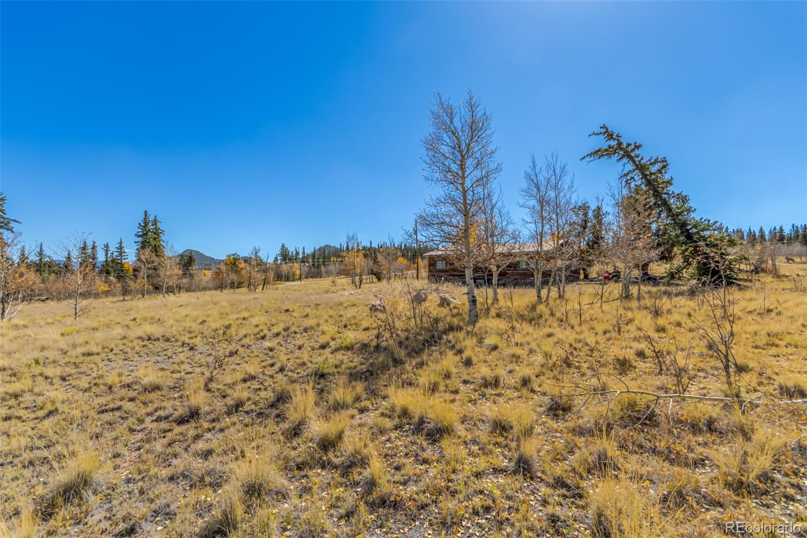 MLS Image #18 for 902  cumberland drive,jefferson, Colorado