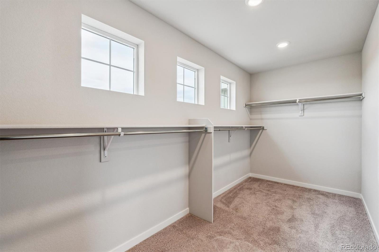 MLS Image #23 for 5917  red barn avenue,mead, Colorado