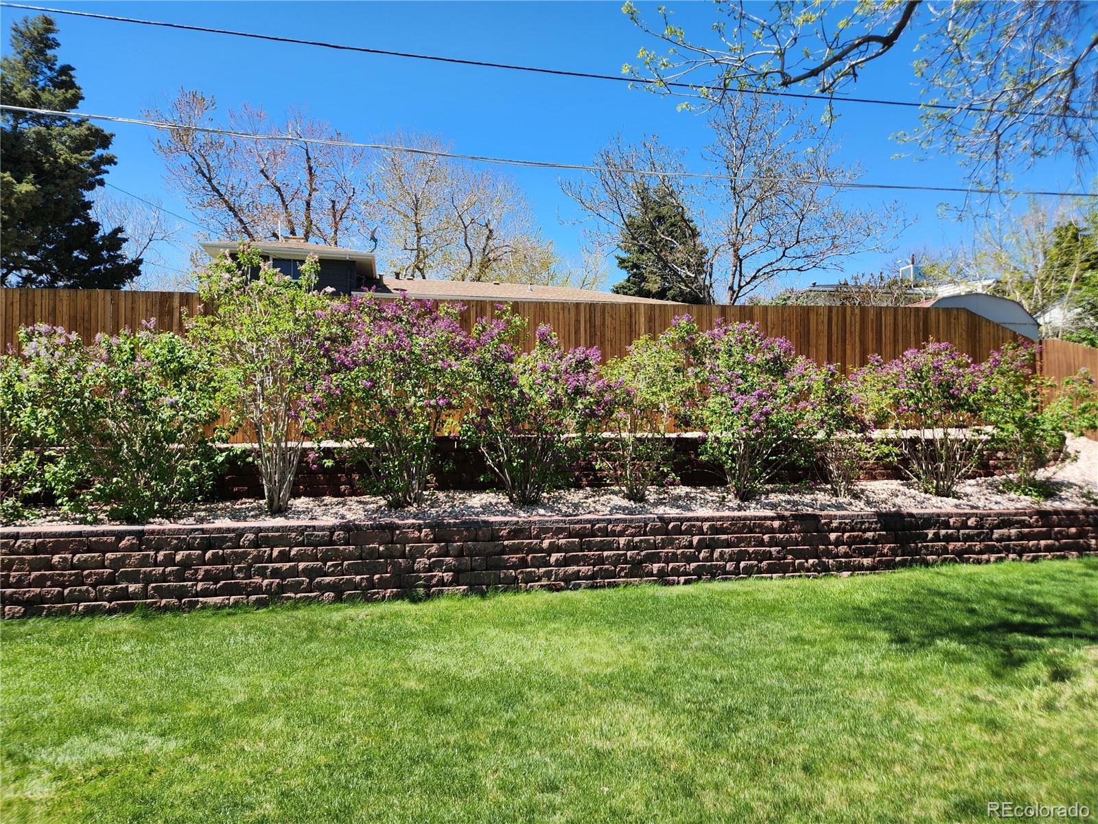 MLS Image #28 for 7107  otis street,arvada, Colorado