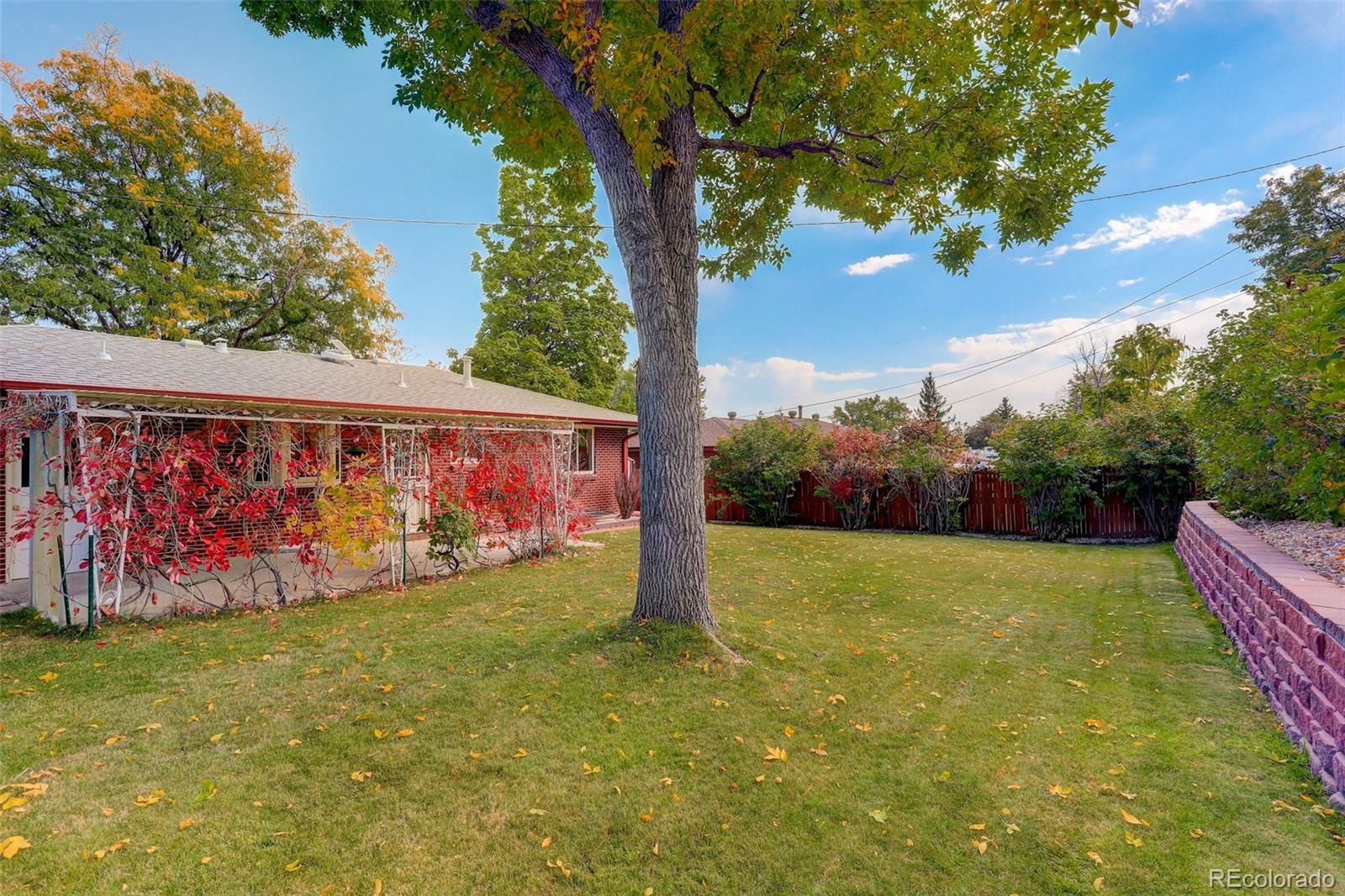 MLS Image #4 for 7107  otis street,arvada, Colorado