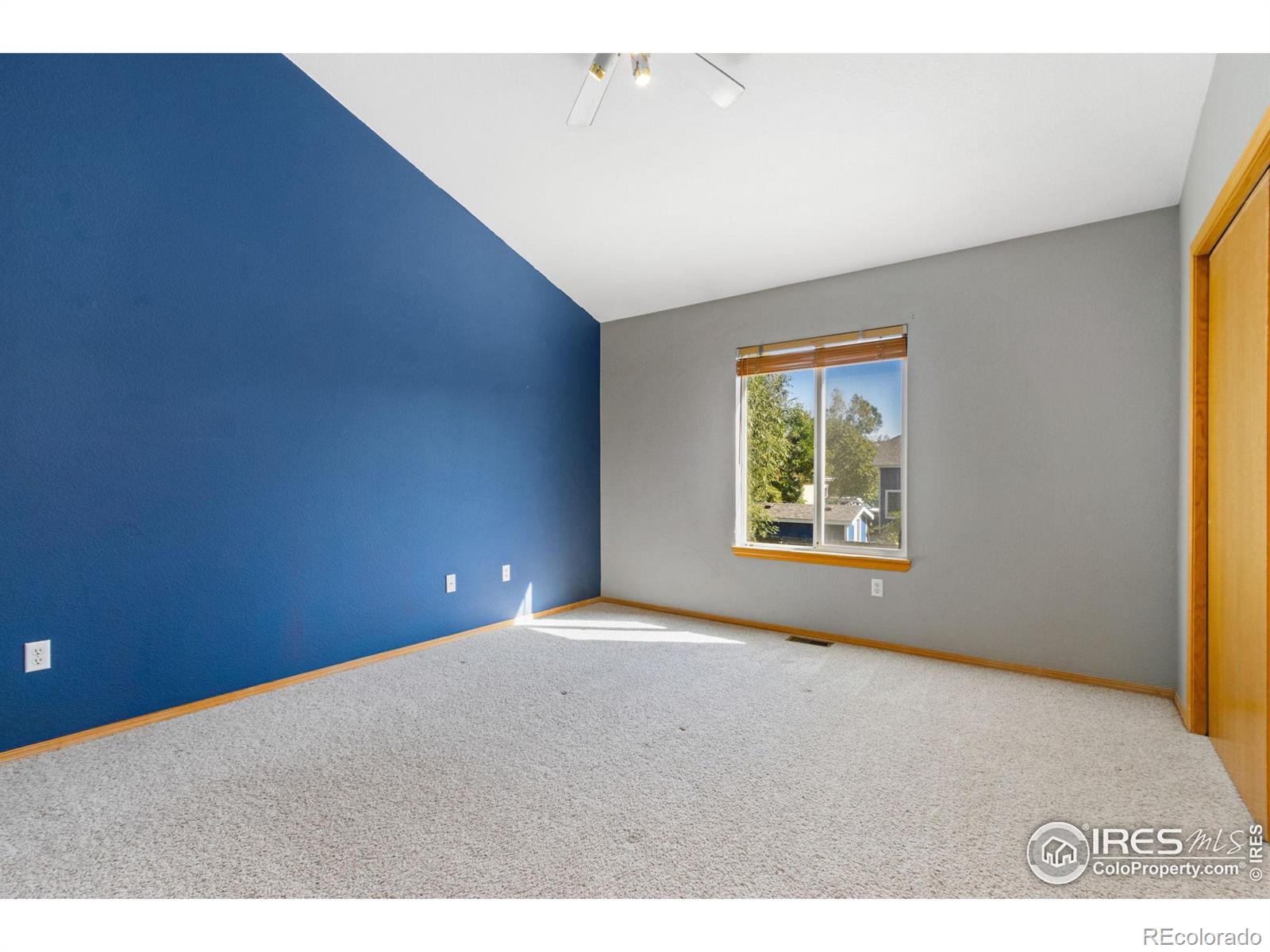 MLS Image #20 for 3980  crestone drive,loveland, Colorado