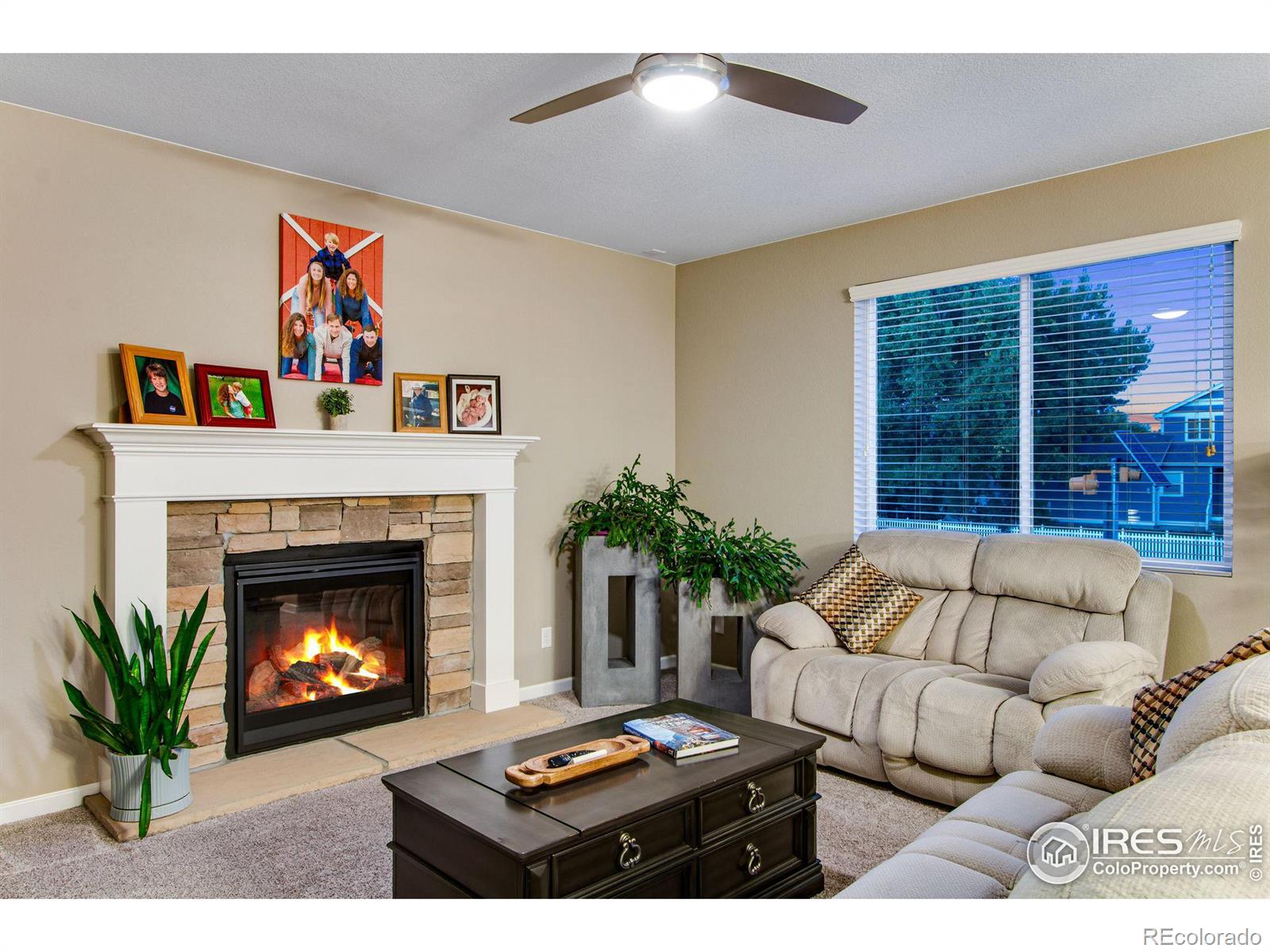 MLS Image #10 for 441  mannon drive,windsor, Colorado