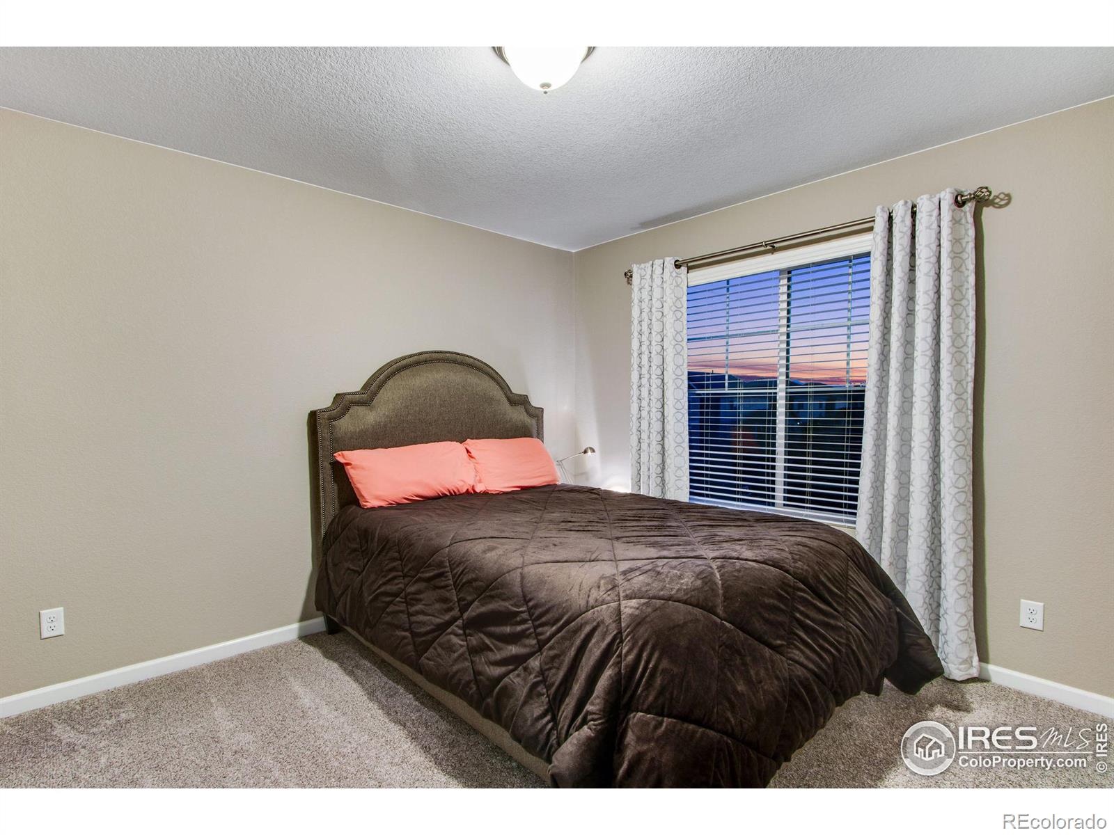 MLS Image #26 for 441  mannon drive,windsor, Colorado