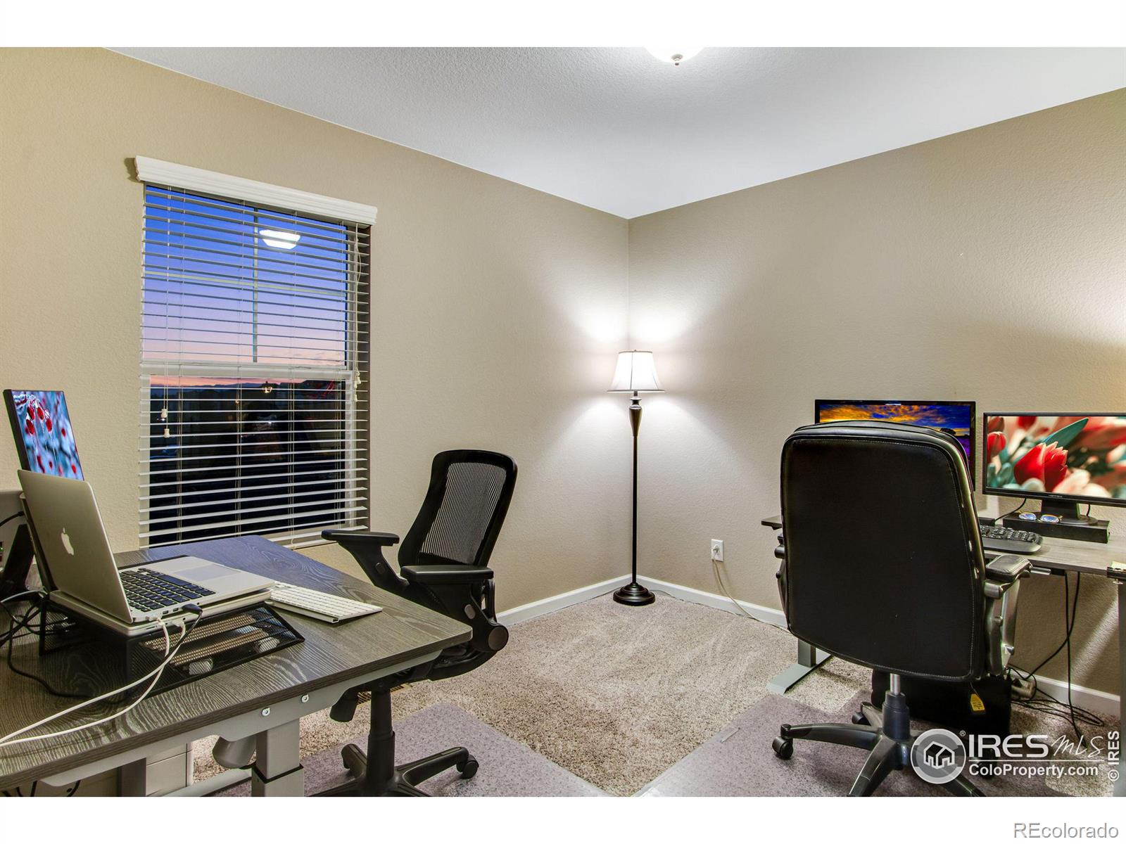 MLS Image #27 for 441  mannon drive,windsor, Colorado