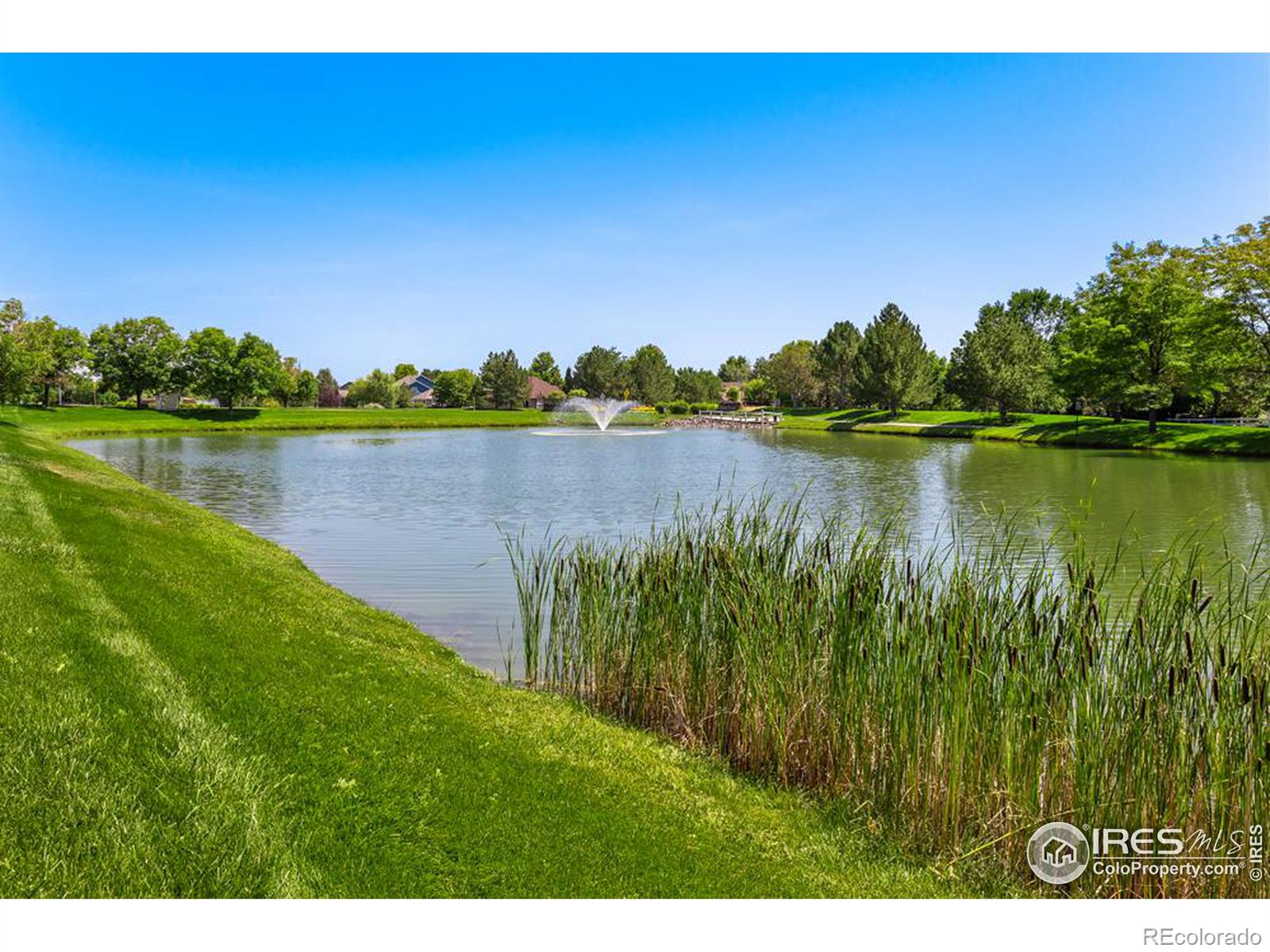 MLS Image #37 for 441  mannon drive,windsor, Colorado