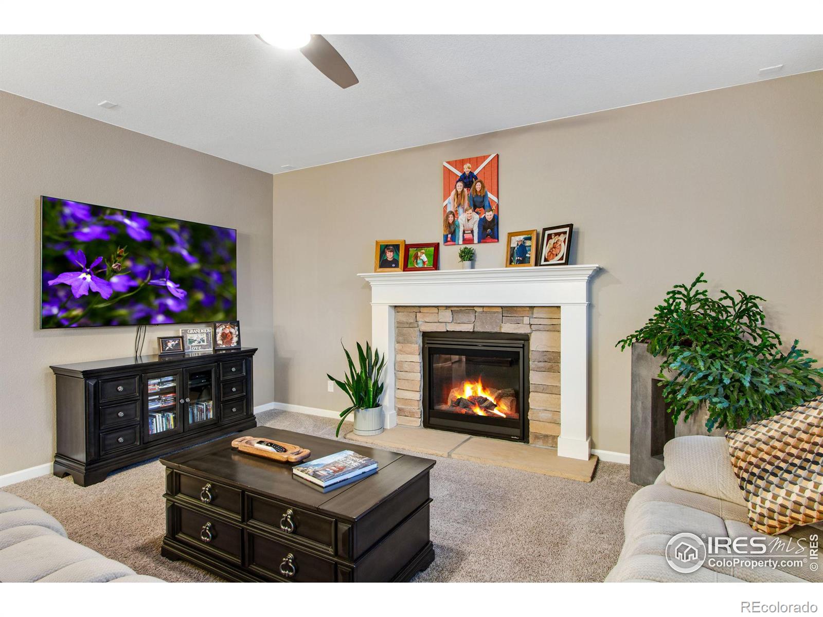 MLS Image #9 for 441  mannon drive,windsor, Colorado