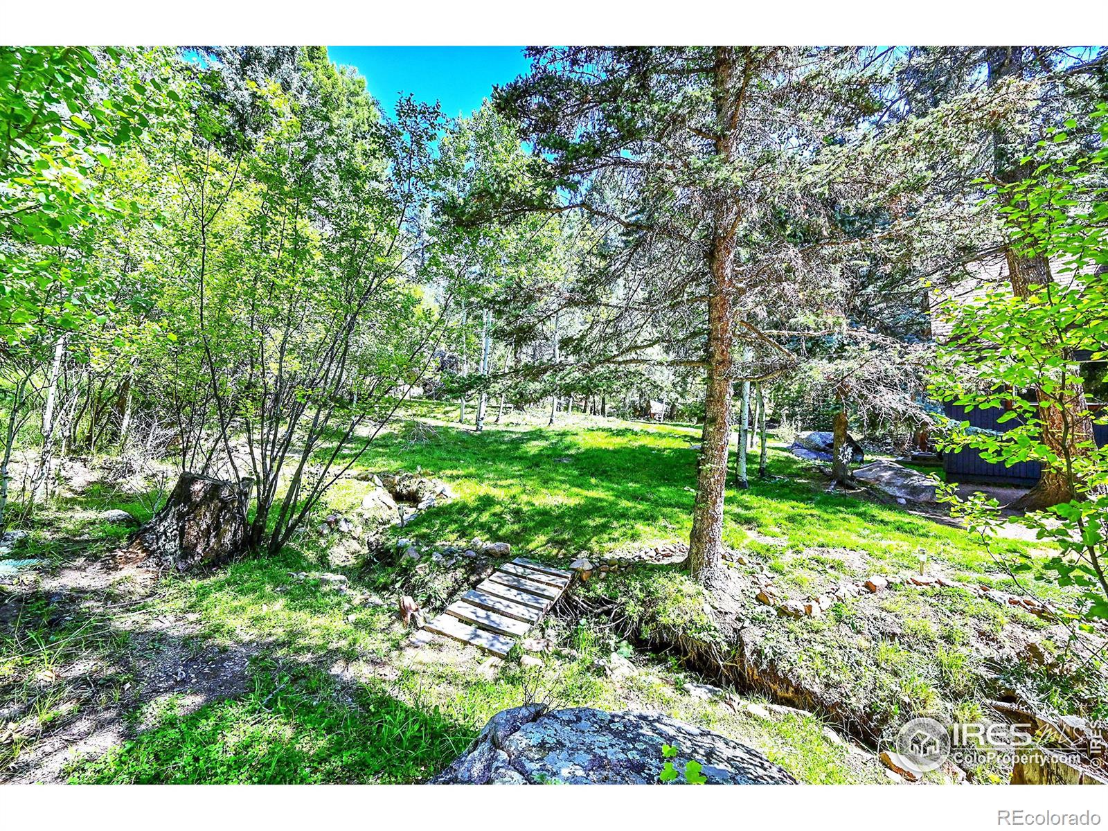 MLS Image #11 for 30997  witteman road,conifer, Colorado