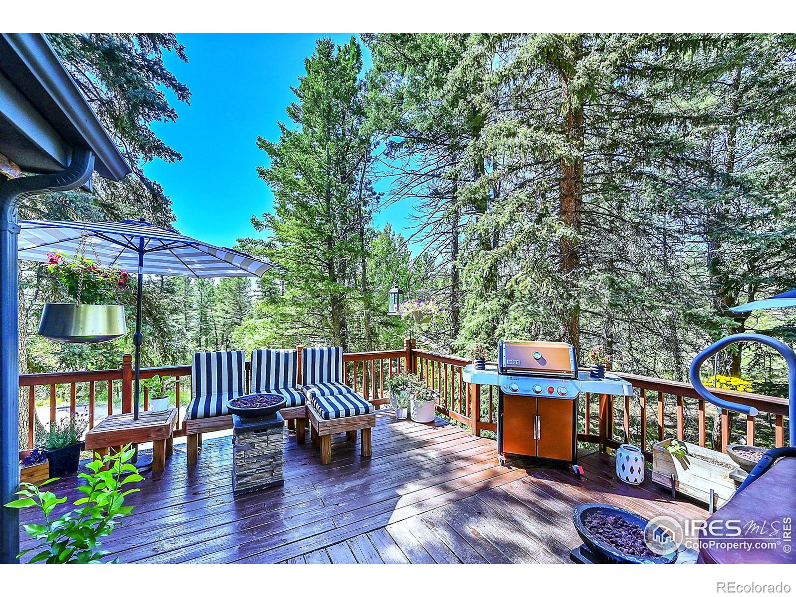 MLS Image #16 for 30997  witteman road,conifer, Colorado