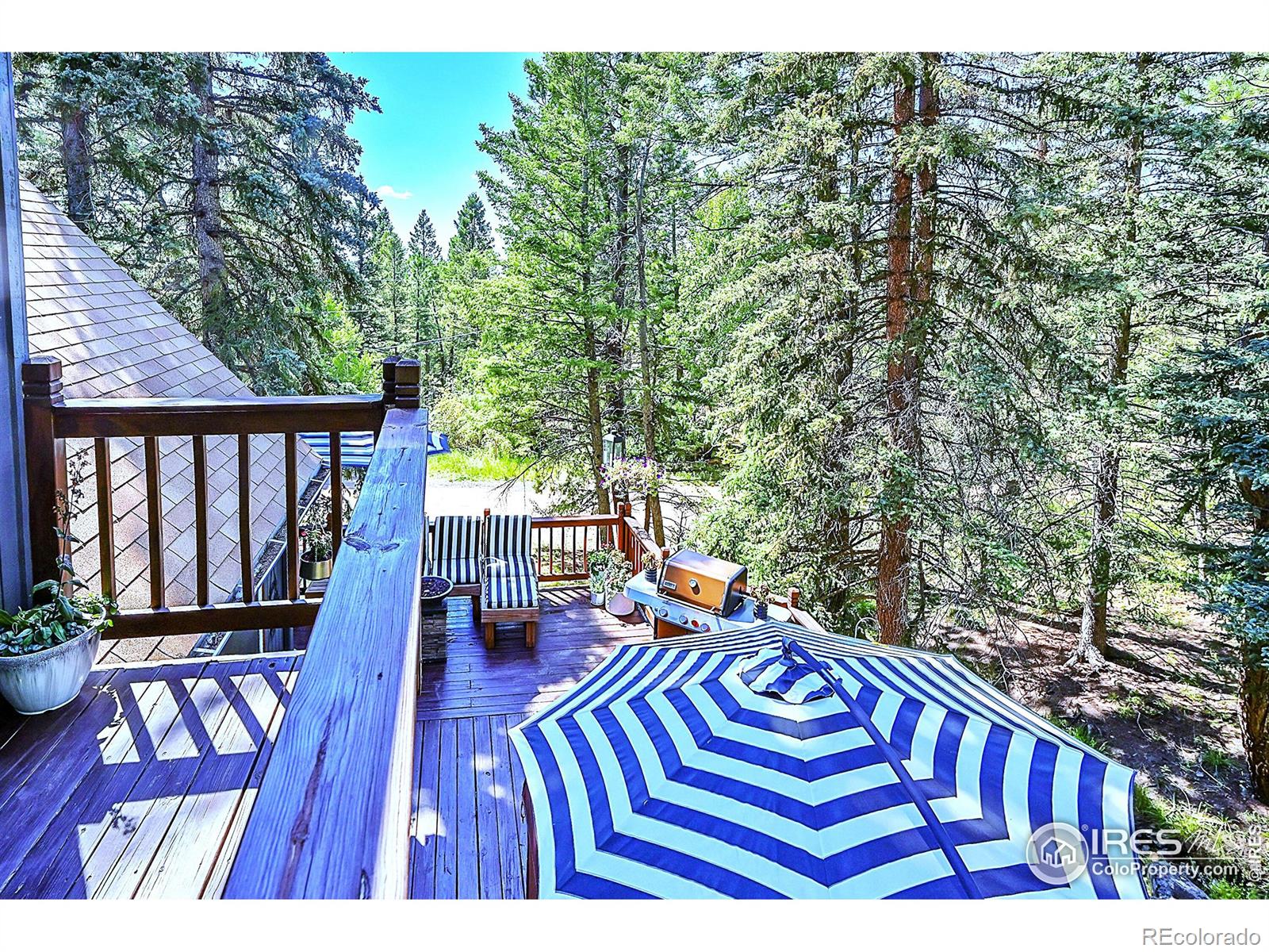 MLS Image #26 for 30997  witteman road,conifer, Colorado