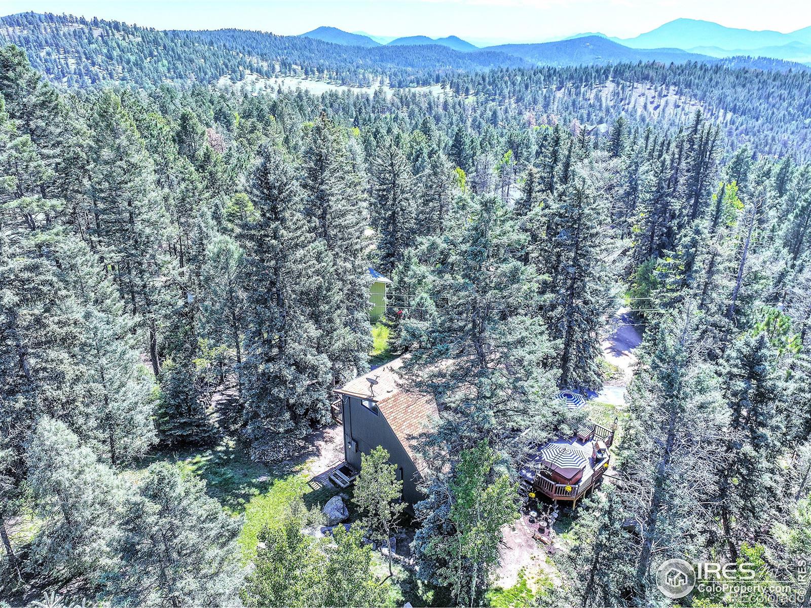 MLS Image #3 for 30997  witteman road,conifer, Colorado