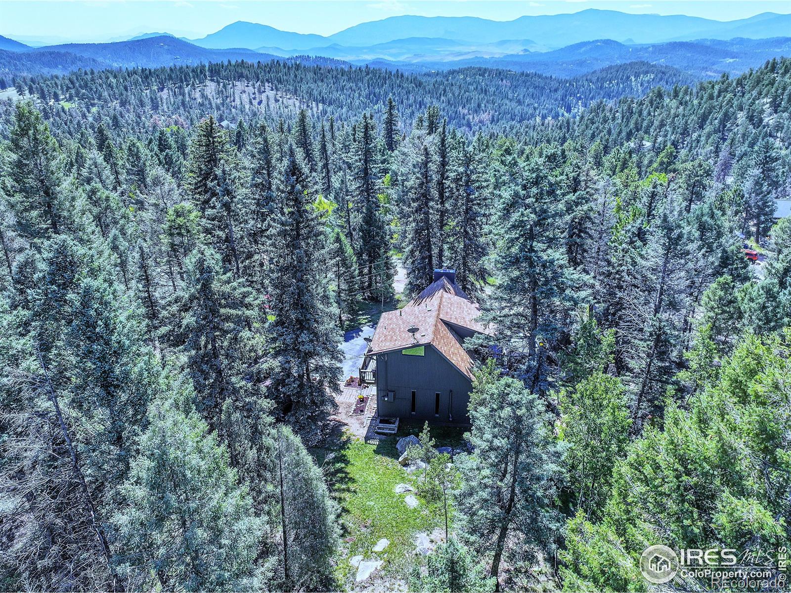 MLS Image #4 for 30997  witteman road,conifer, Colorado