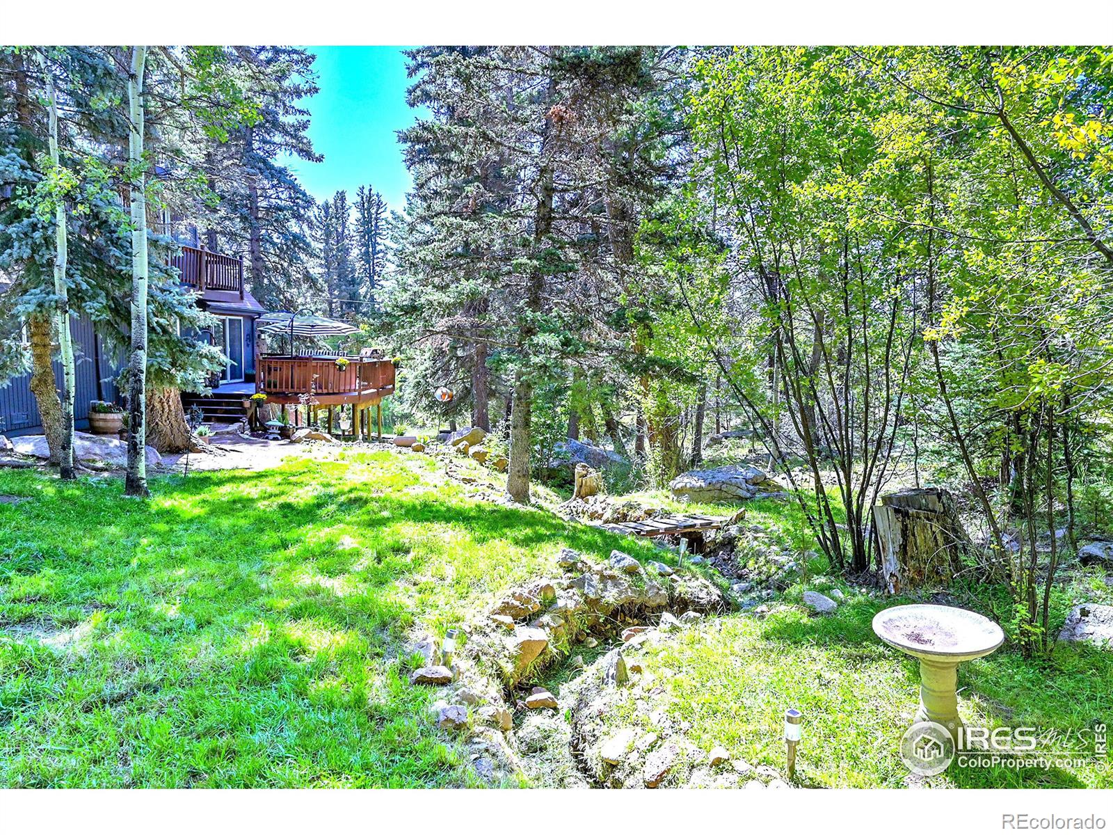 MLS Image #6 for 30997  witteman road,conifer, Colorado