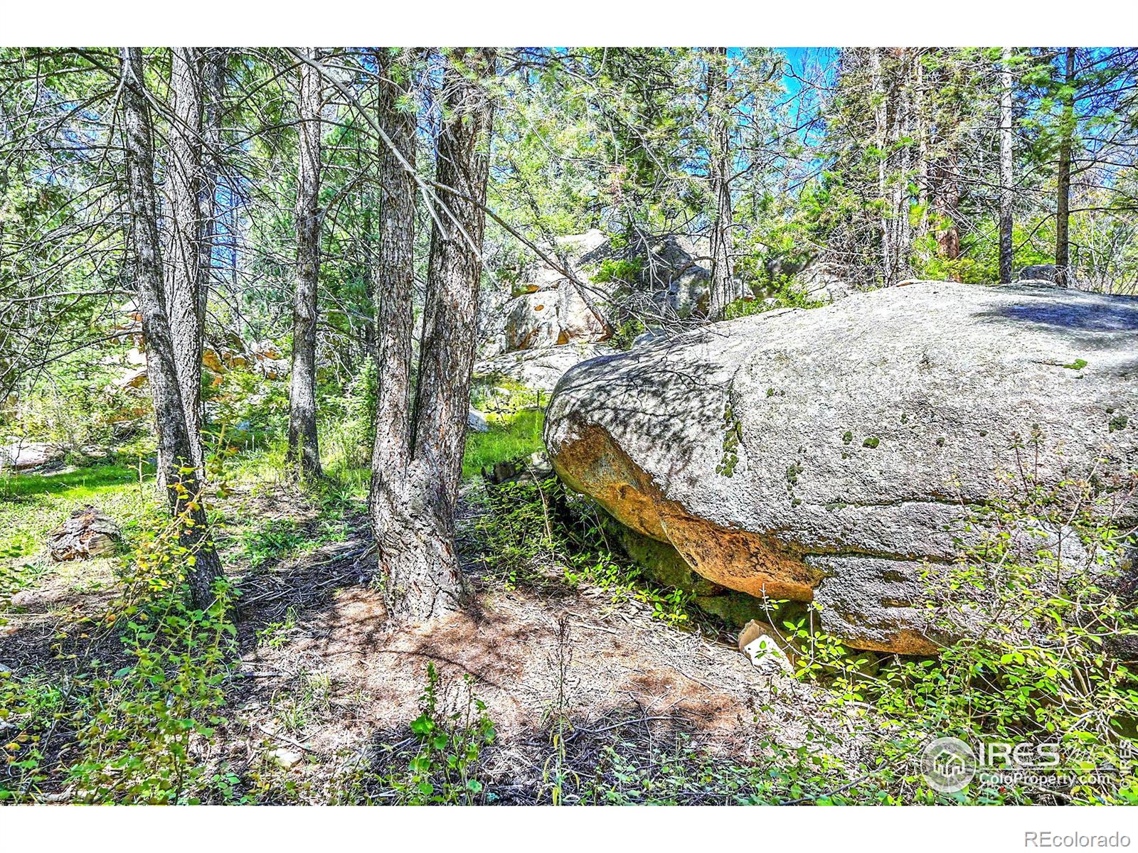 MLS Image #8 for 30997  witteman road,conifer, Colorado