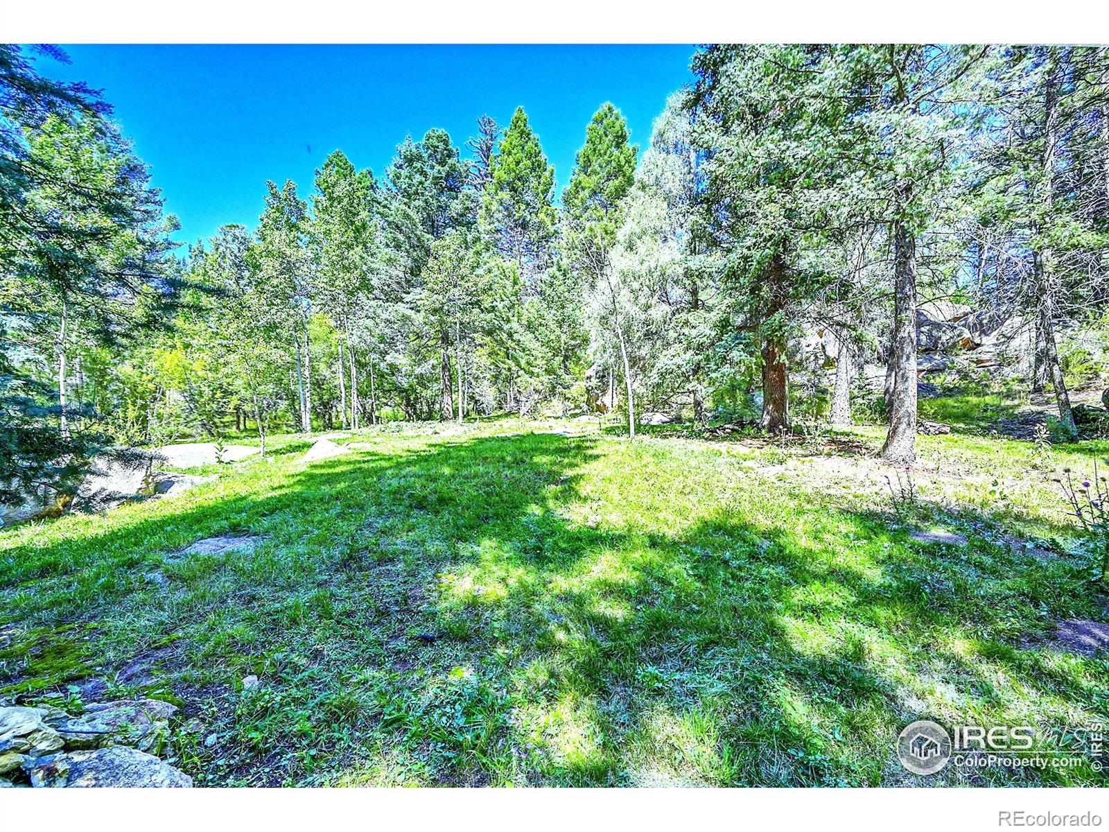 MLS Image #9 for 30997  witteman road,conifer, Colorado